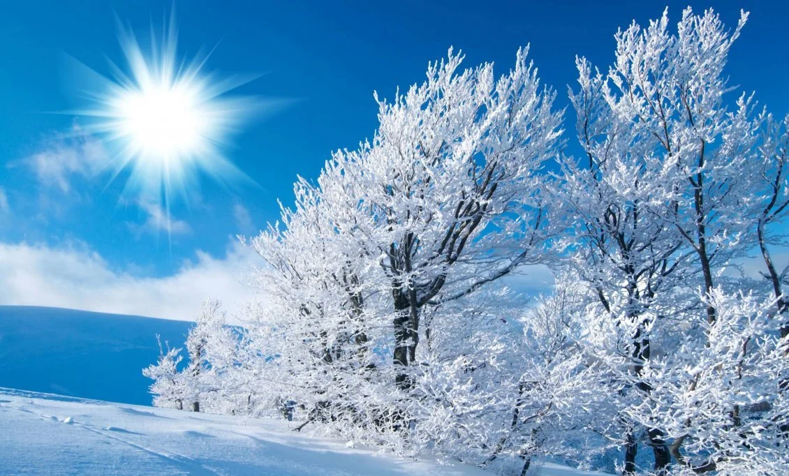 11434_sunny-winter-day-on-a-cold-season-hd-wallpaper-e1544547661581.jpg