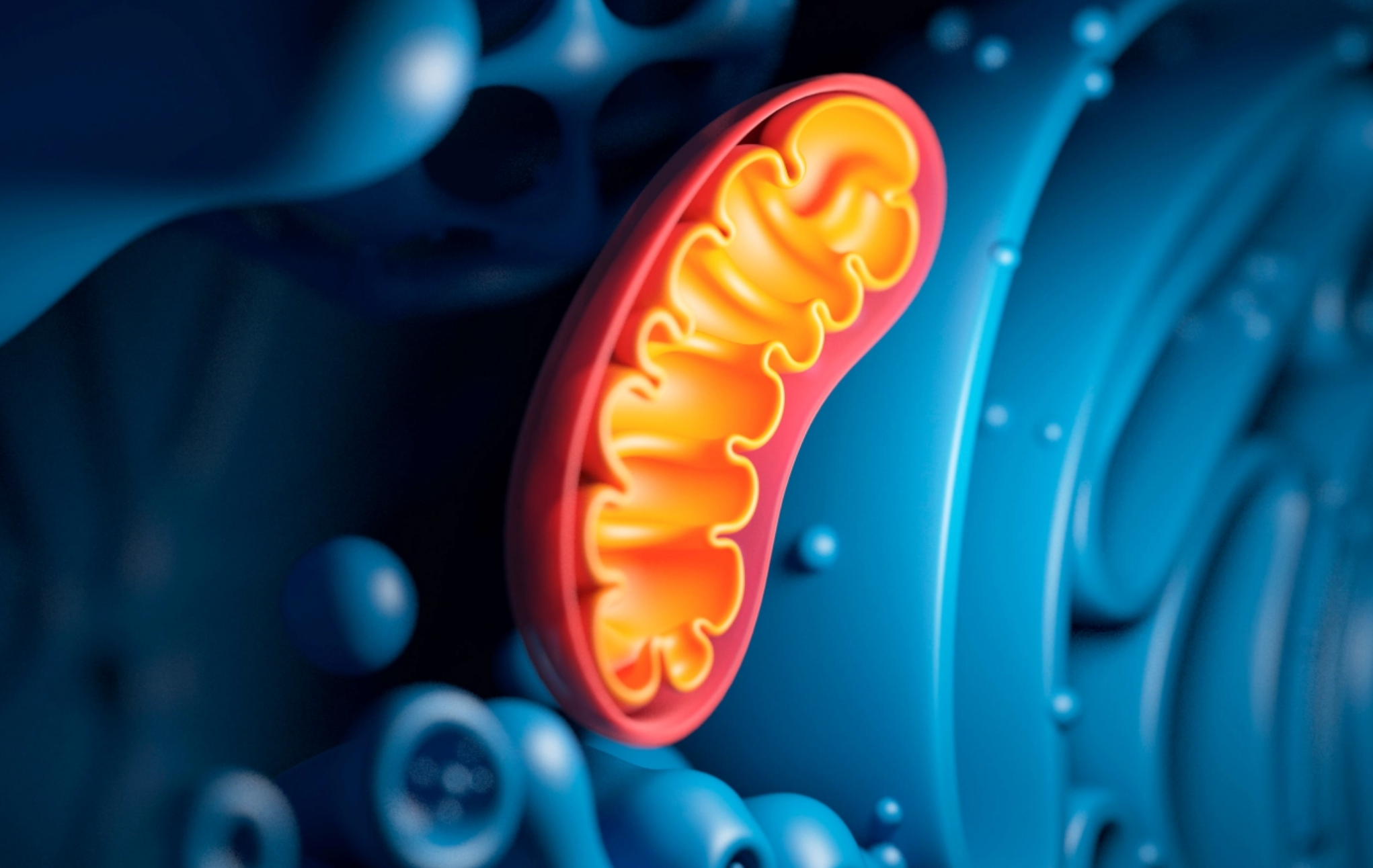 Screen Shot 2020-06-06 at 3.31.15 AM.png