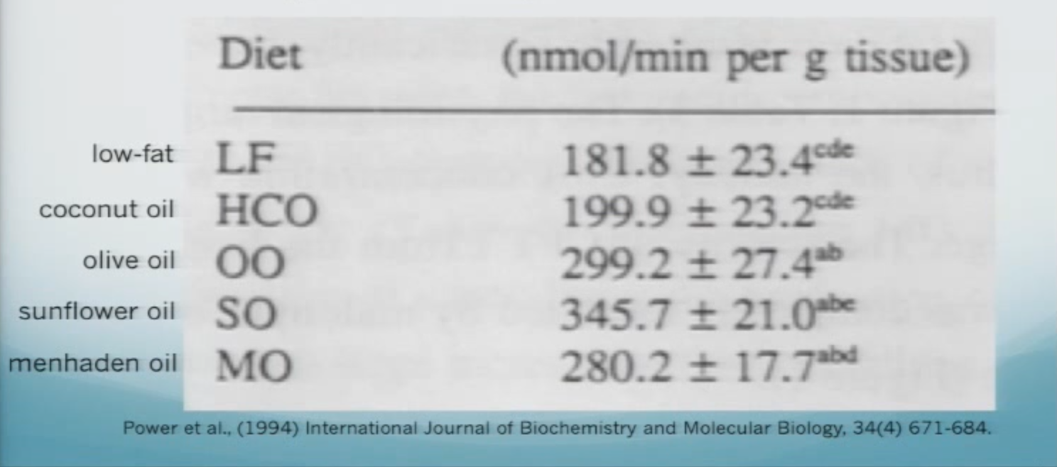Screen Shot 2021-04-20 at 11.51.09 PM.png