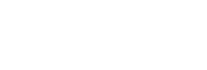 Healthy Leadership Solutions