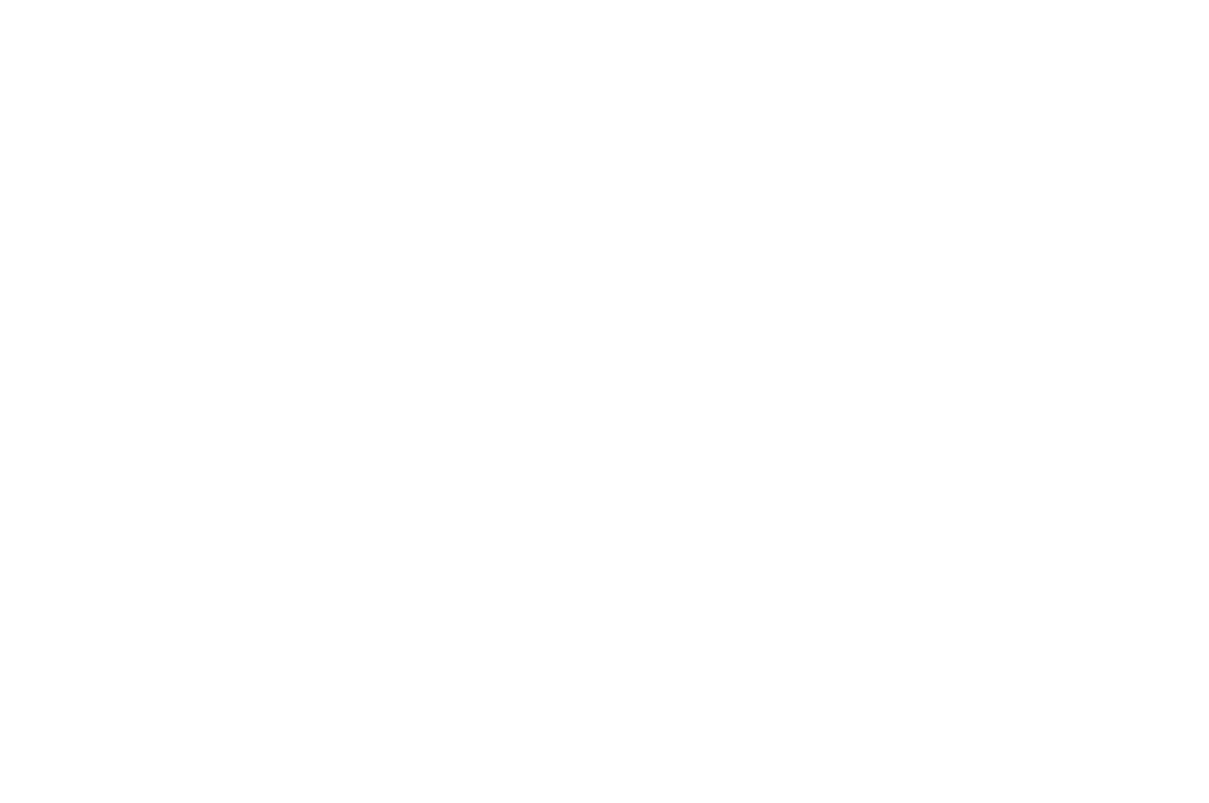 OFFICIAL SELECTION - Manhattan Film Festival - 2019.png