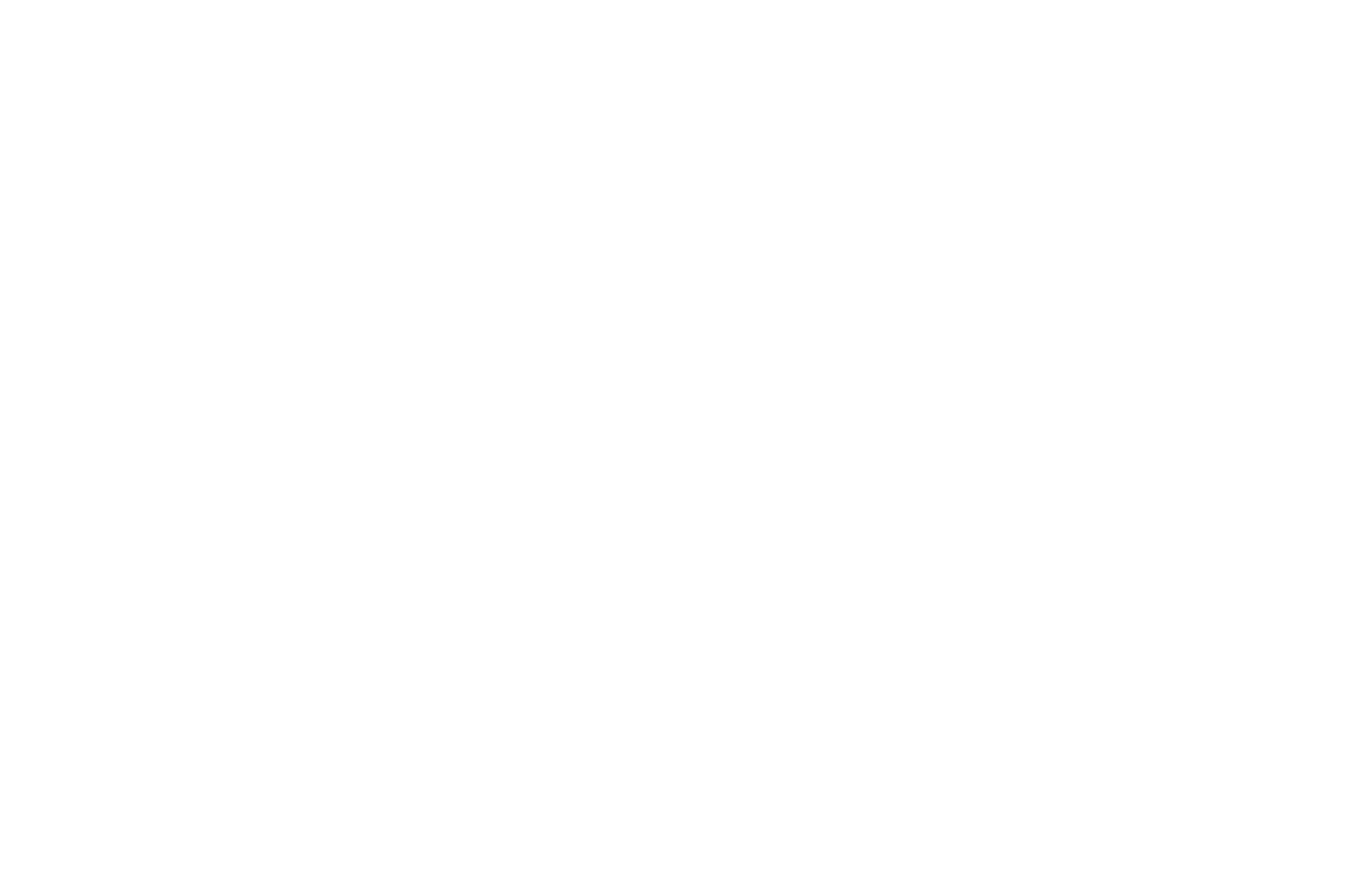 OFFICIAL SELECTION - Kansas City FilmFest - 2023.png