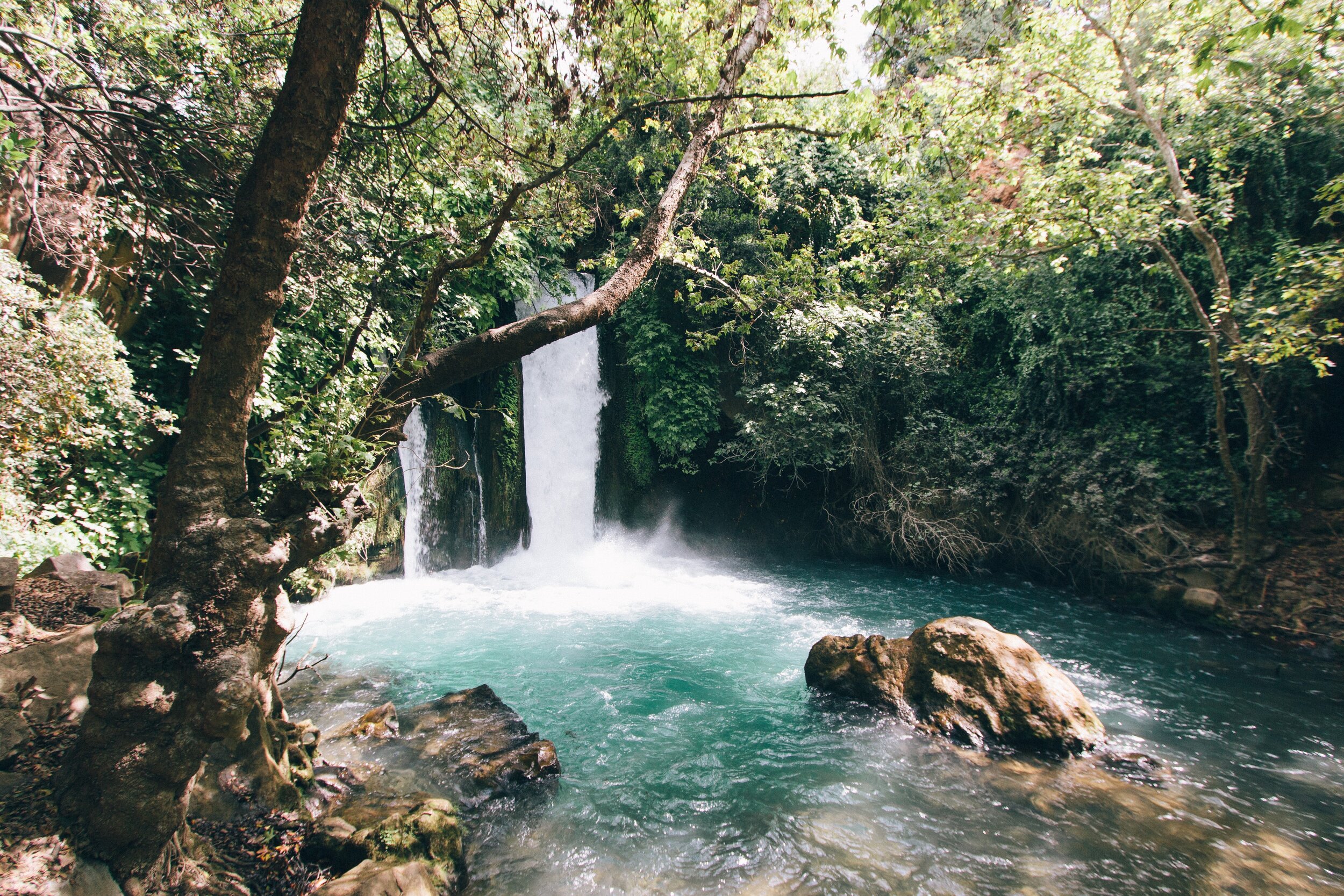 robert-bye-gFSqwxMTYXw-unsplash.jpg