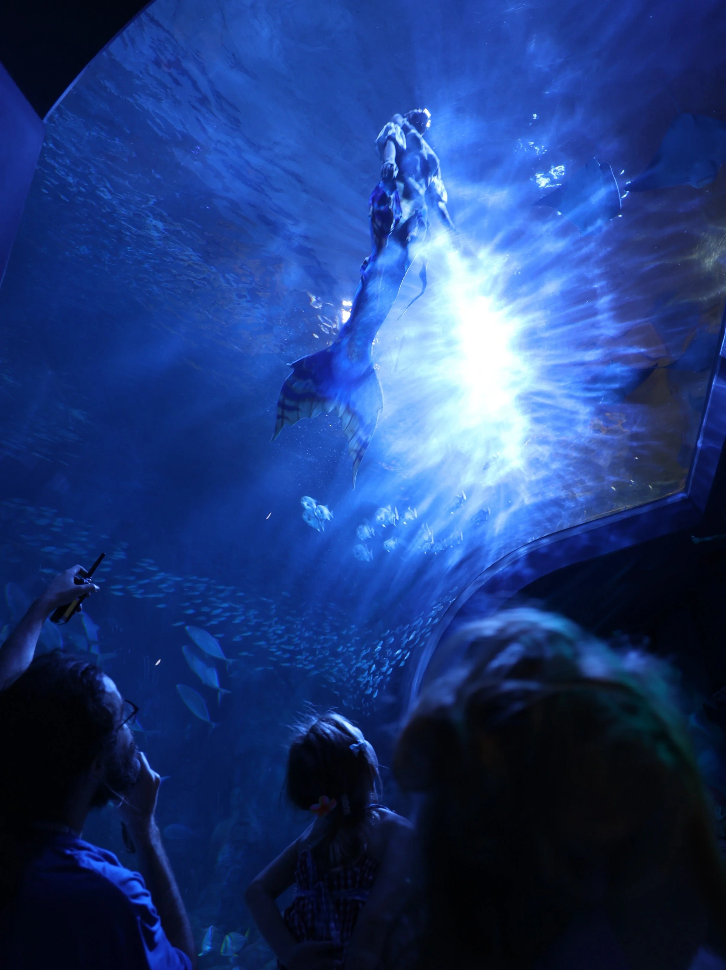 BLUE6345_Original.jpeg