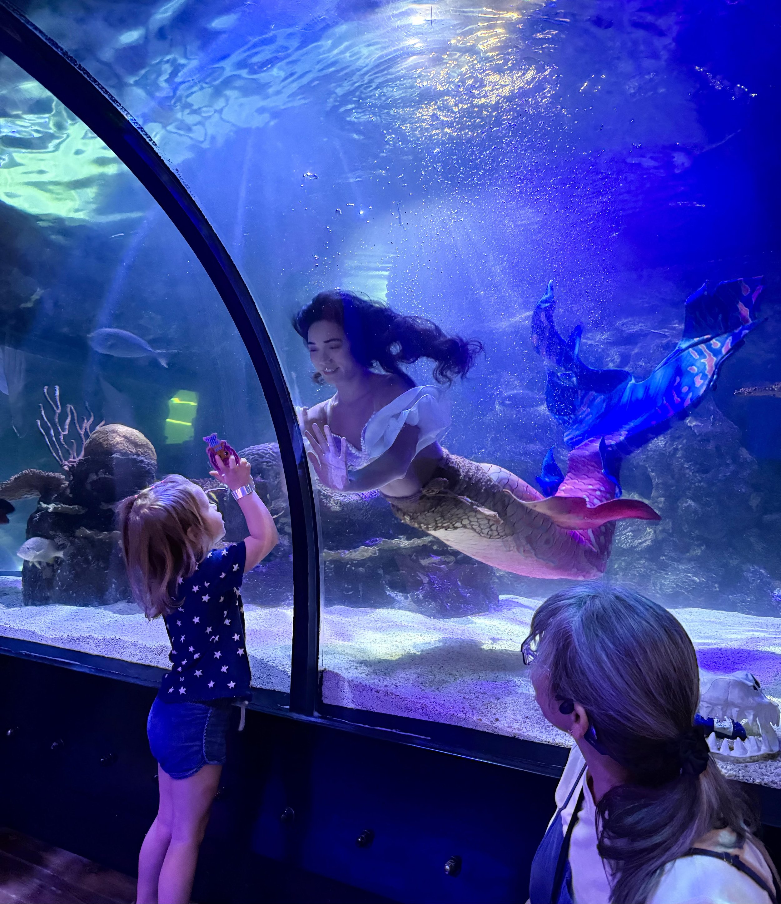 lenisa mermaid .jpeg