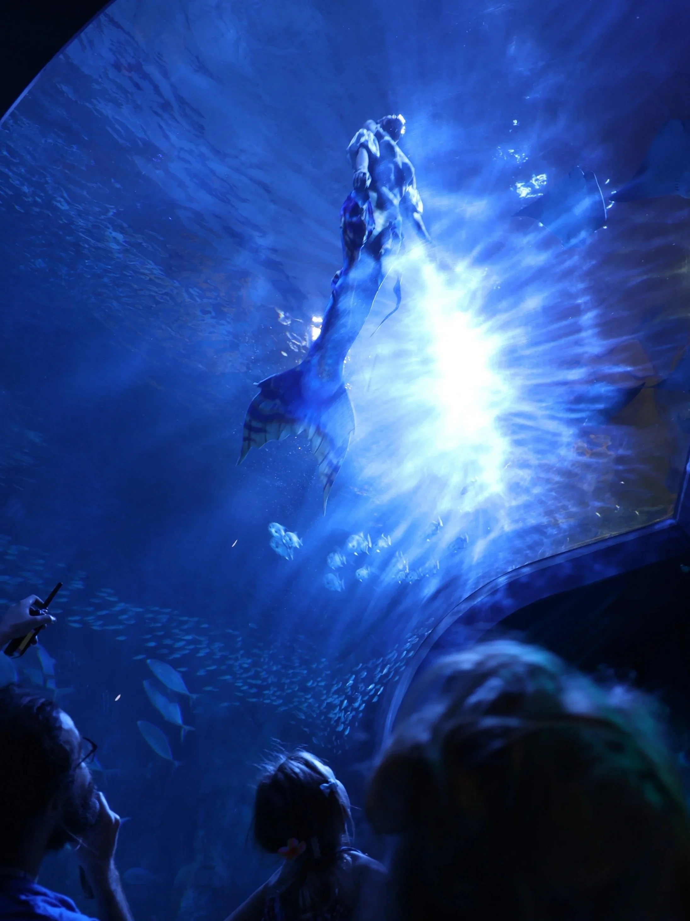 BLUE6345_Original.jpg
