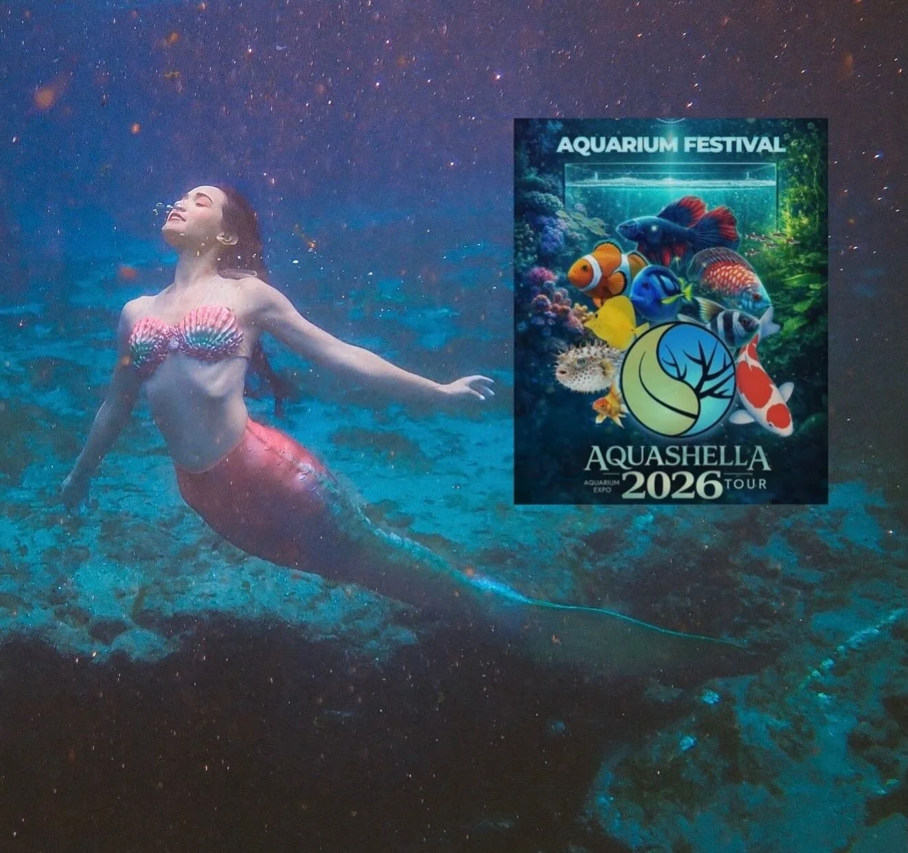 🧜🏽&zwj;♀️ Mermaid Lenisa from Mermaid Dream School will be a mermaid at @aquashella Dallas tomorrow May 16 at 11am! 

AquaShella is a huge aquarium and aquatic life festival filled with exotic fish, underwater vendors, aquascaping, ocean-inspired a