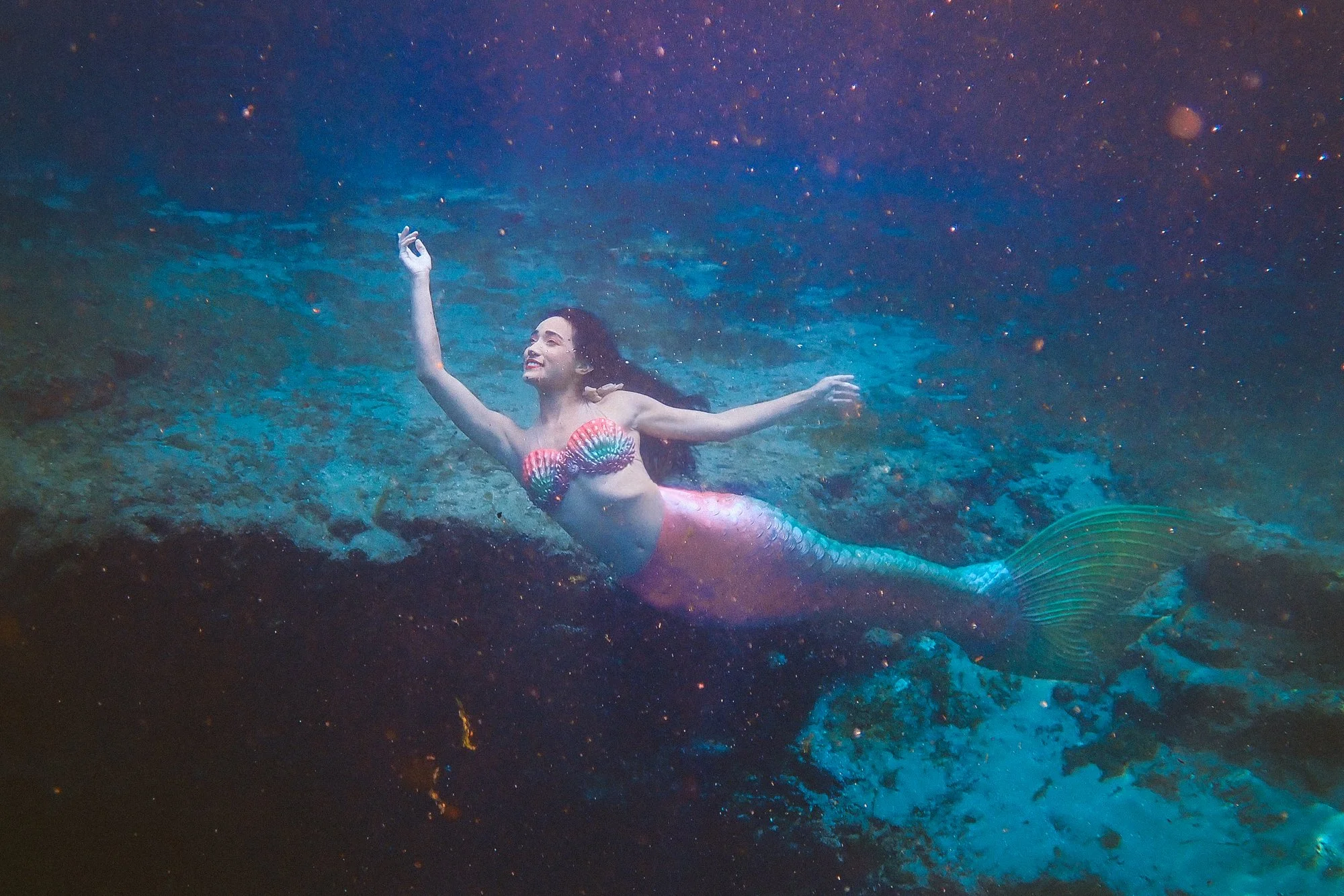 Aquarium Mermaid Entertainment