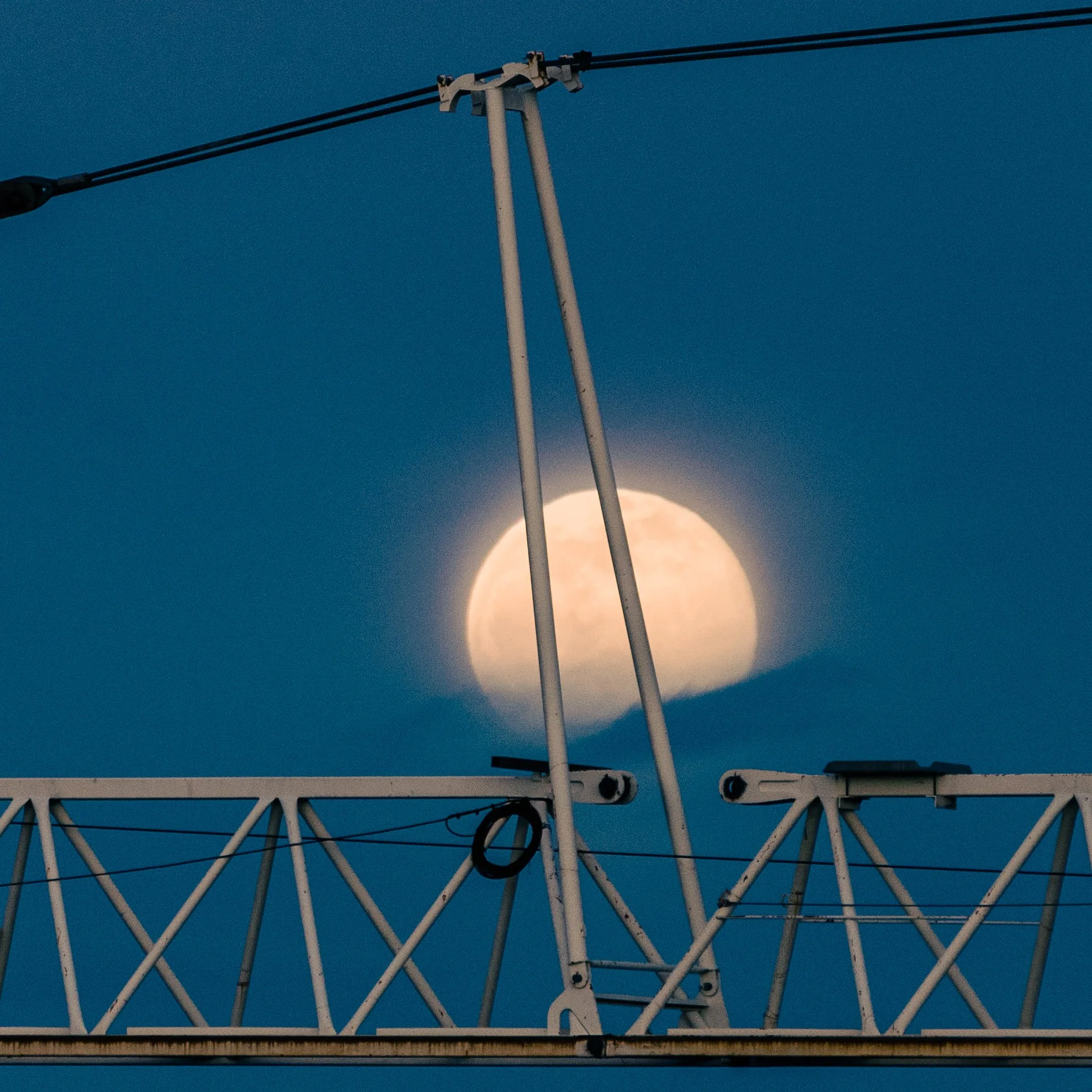 mull moon crane_insty-4.jpg