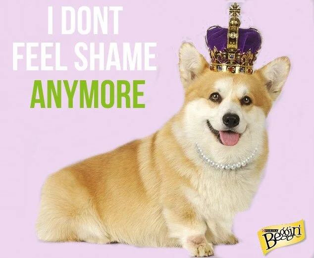 beggin shame.jpg