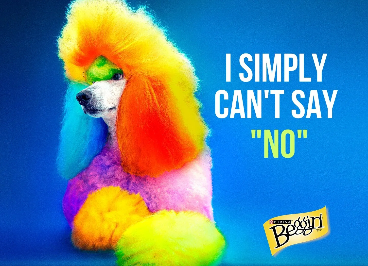 Beggin No.jpg
