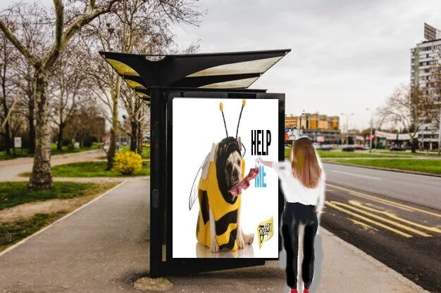 Beggin interactive 2.jpg