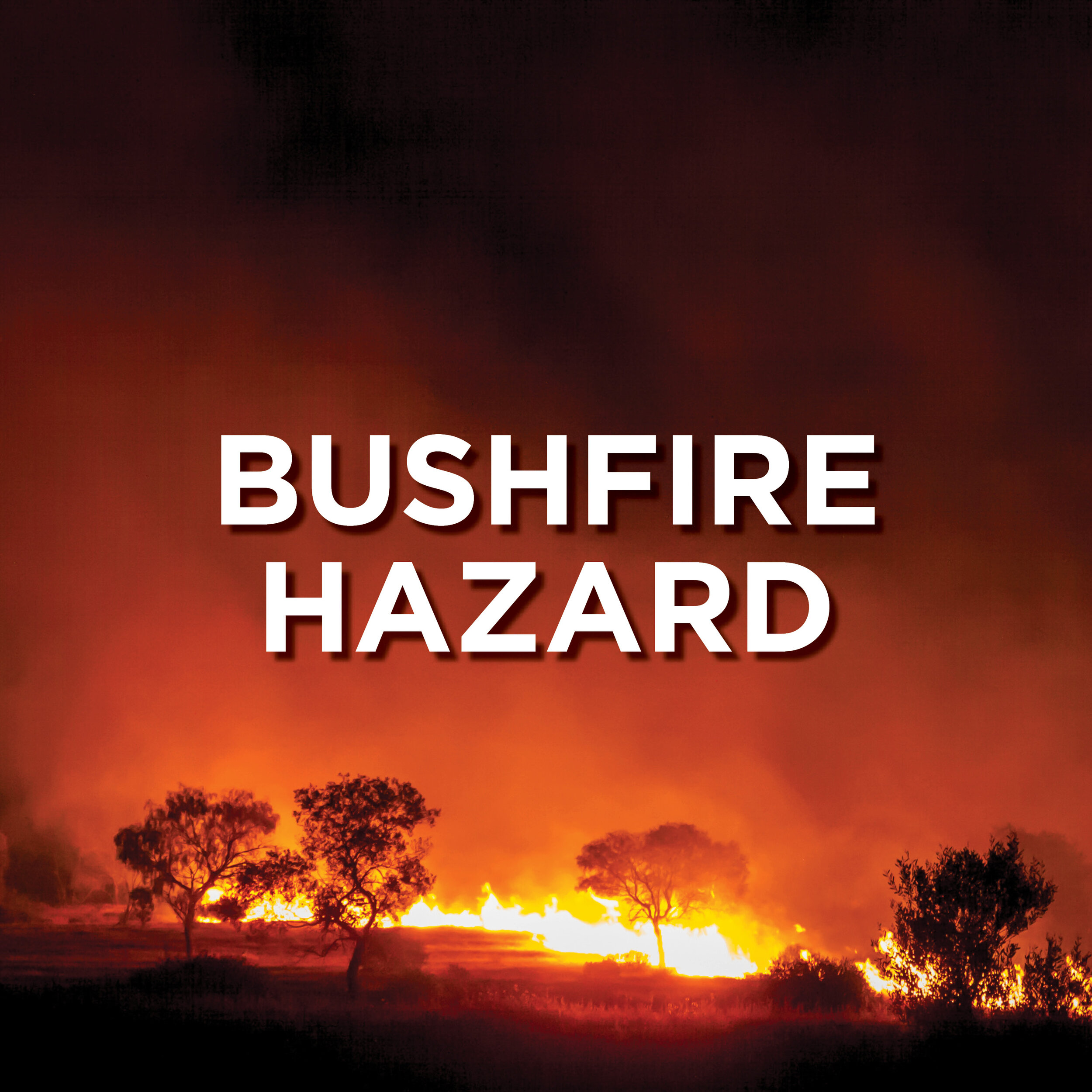 Bushfire Edited.jpg