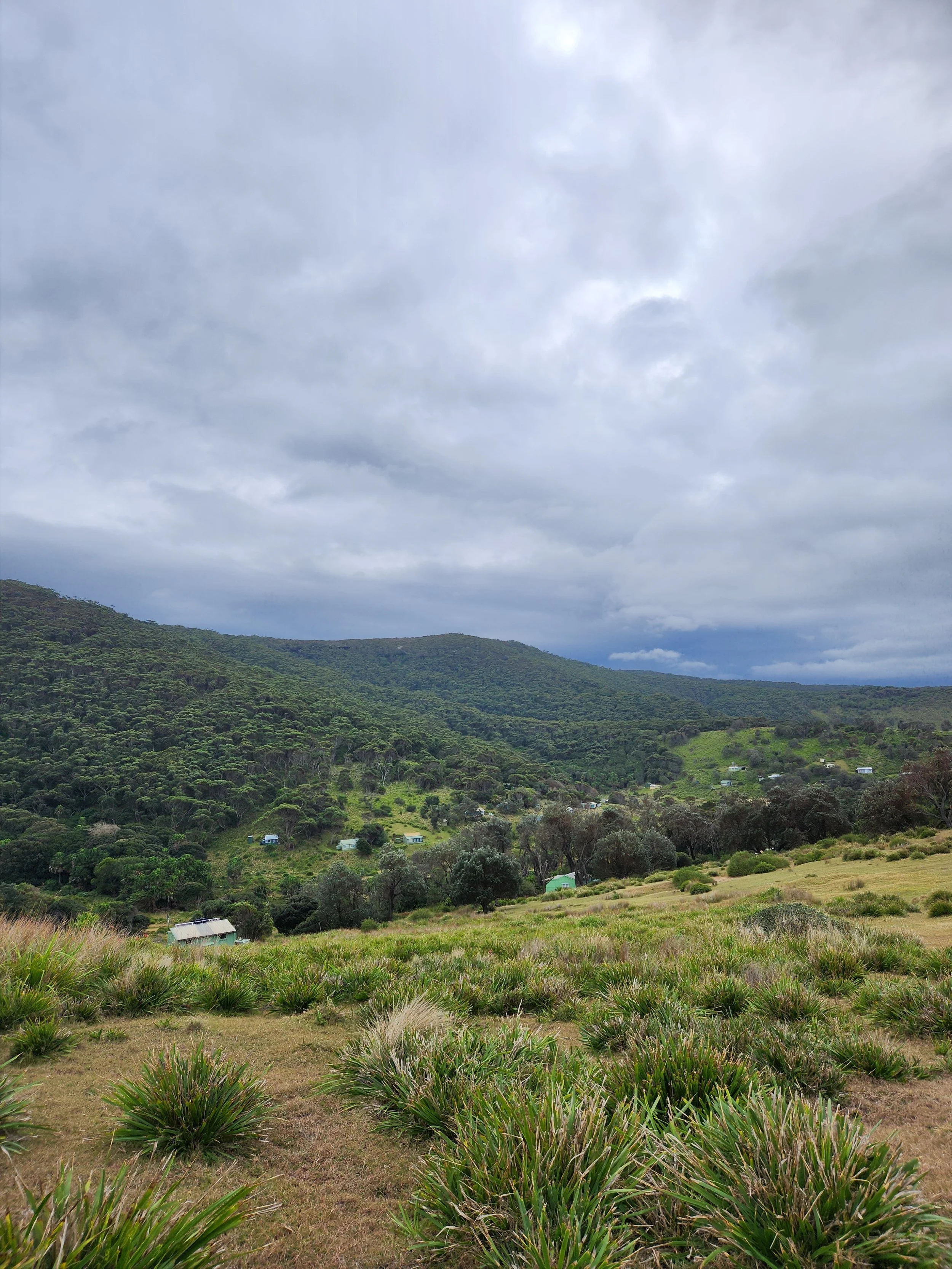 Environmental Assessments for NSW National Parks and Wildlife Service
