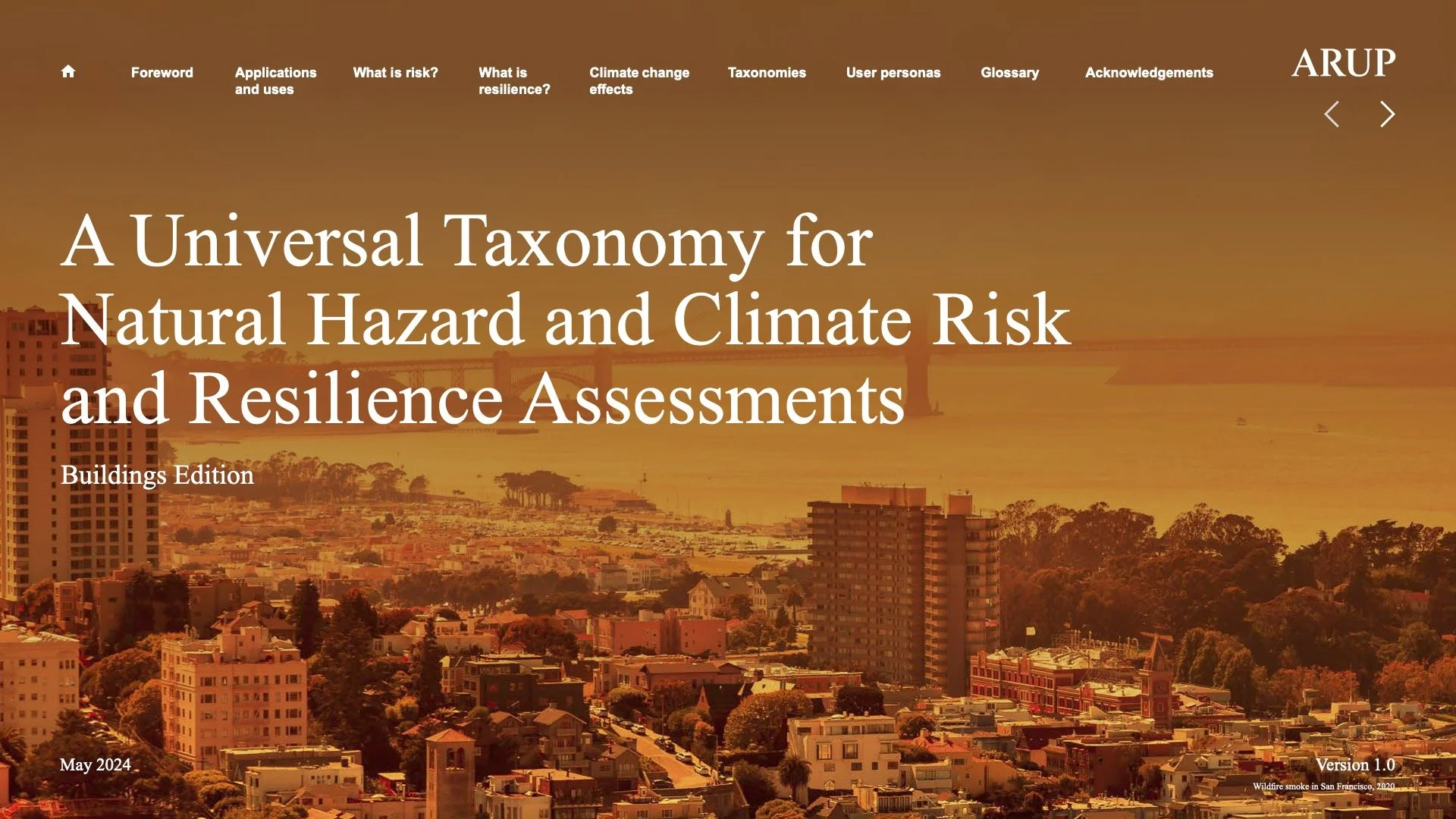 a-universal-taxonomy-for-natural-hazard-and-climate-risk-and-resilience-assessments-may24.jpg