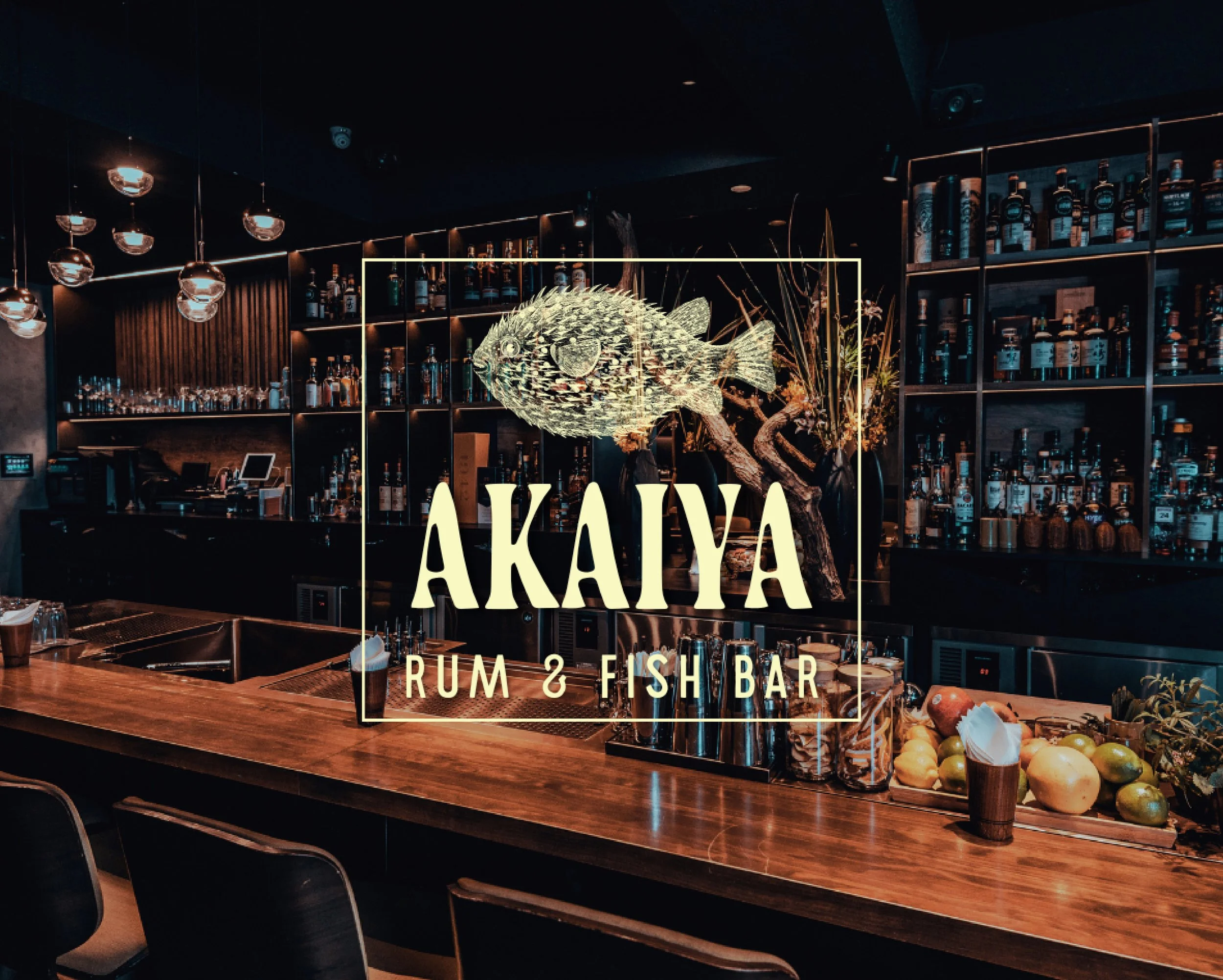 akaiya thumbnails.jpg