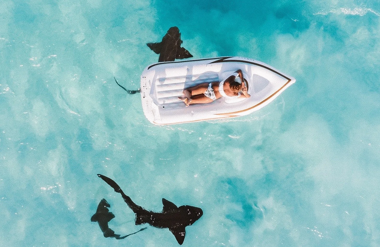 How a Bad Assumption can Bite You...Literally