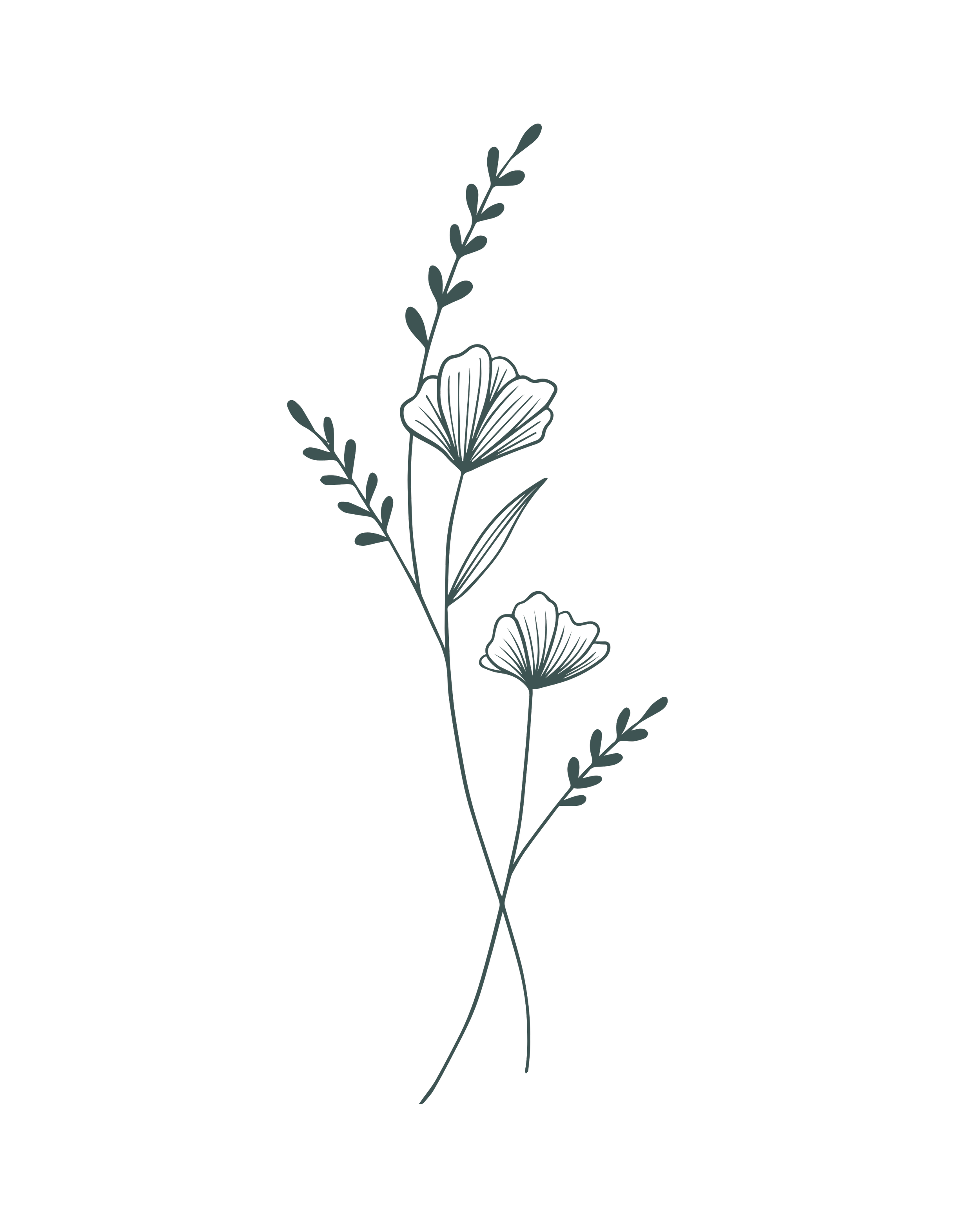 A minimalist line drawing of a floral arrangement with two flowers and leafy accents on a black background.