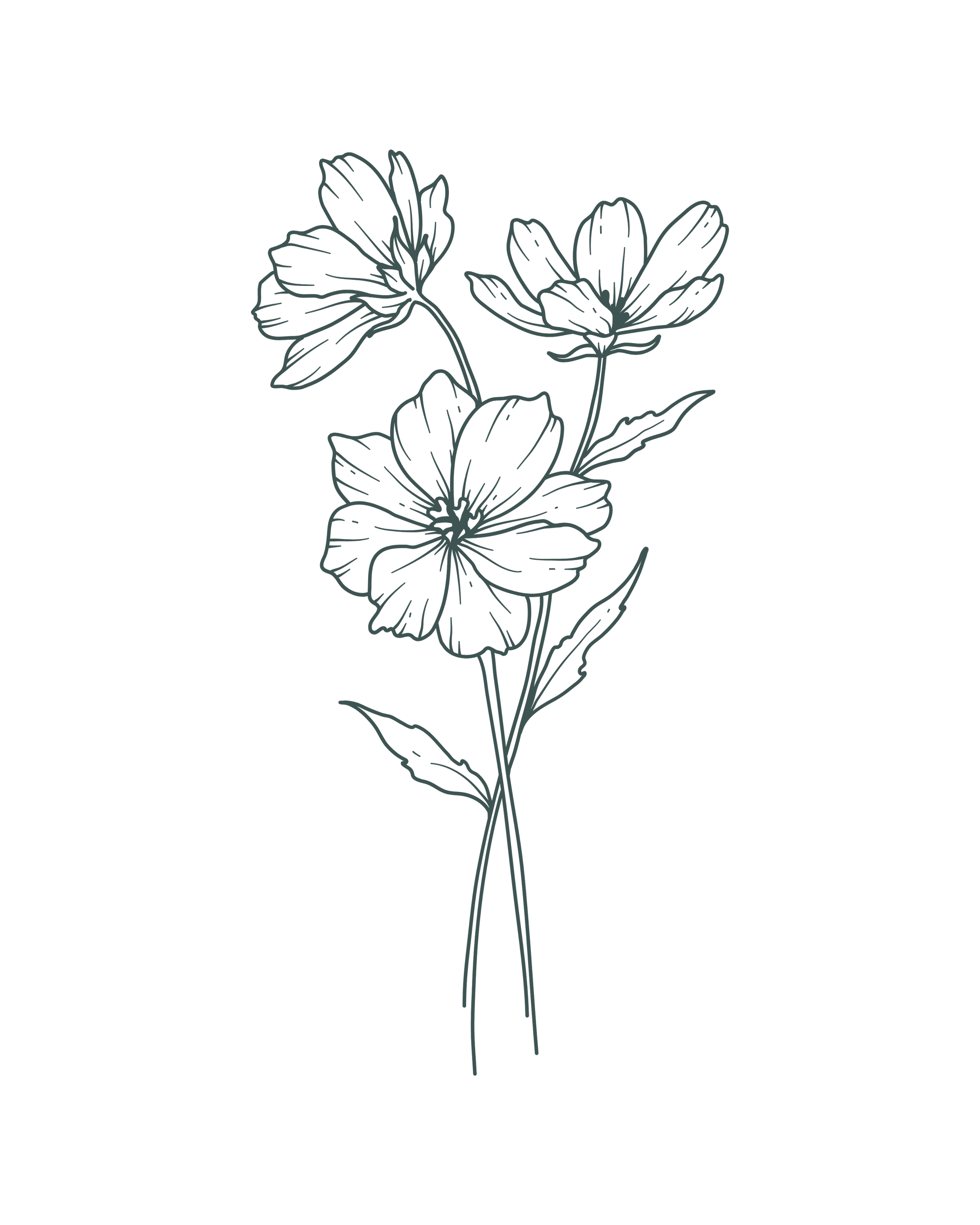 Line art illustration of three flowers with long stems on a black background.