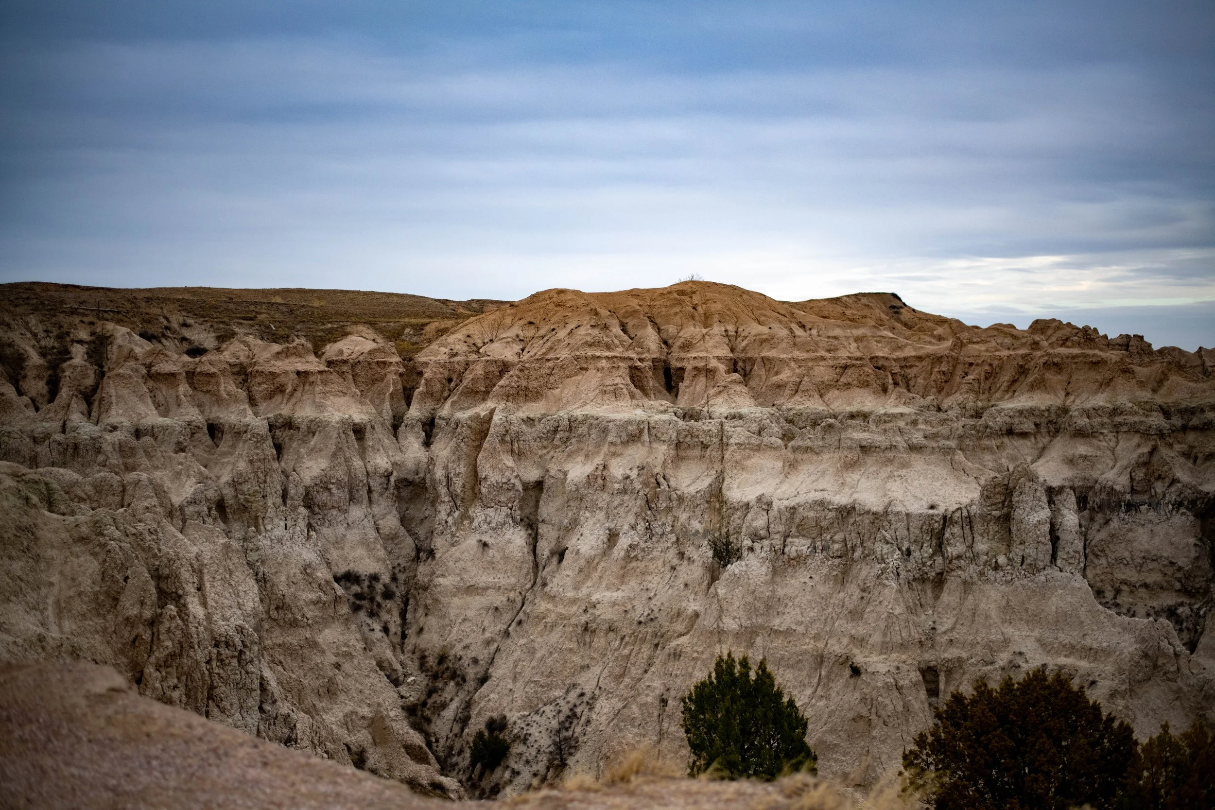 DSC_0240.jpg