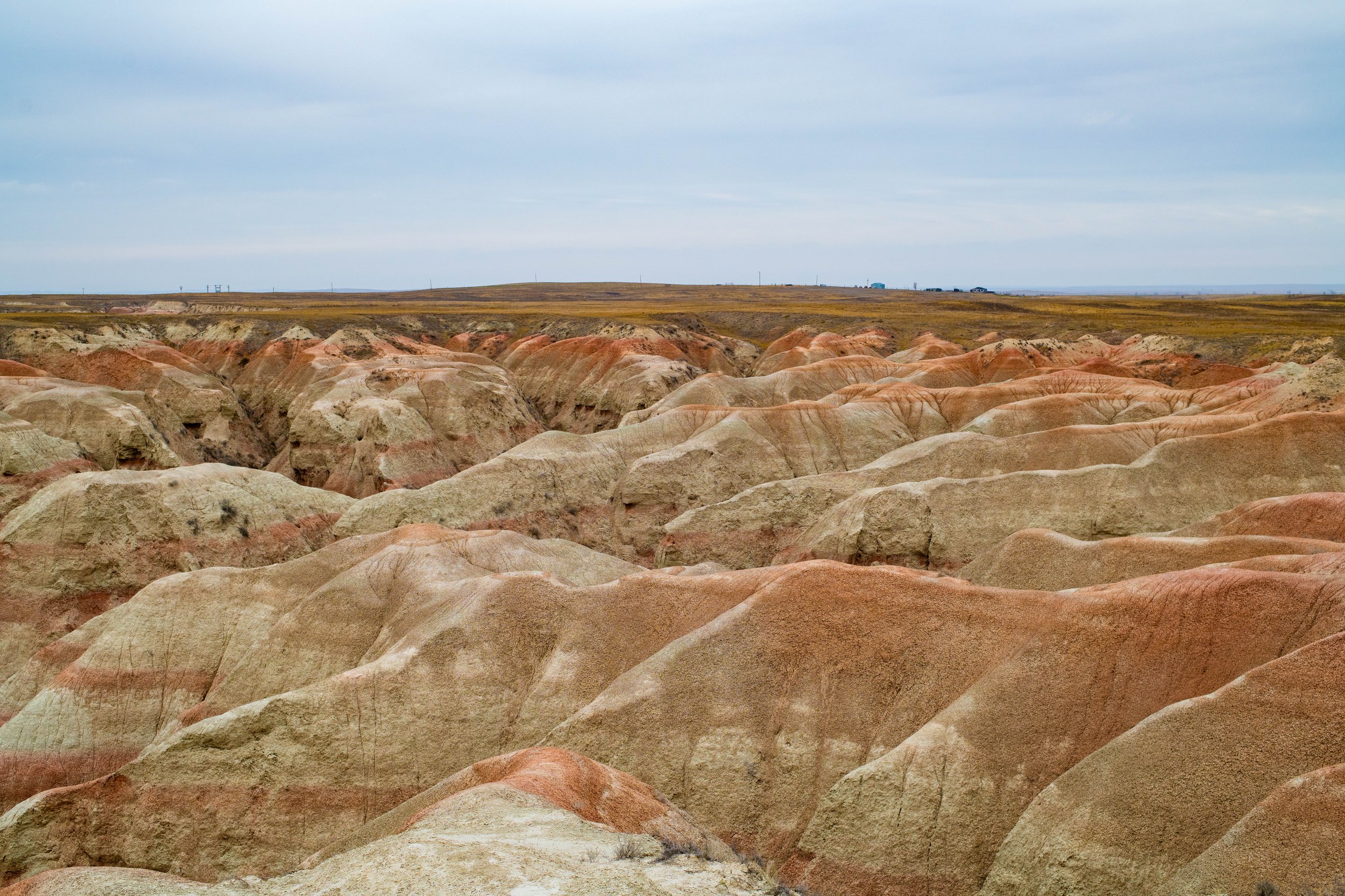DSC_0160.jpg