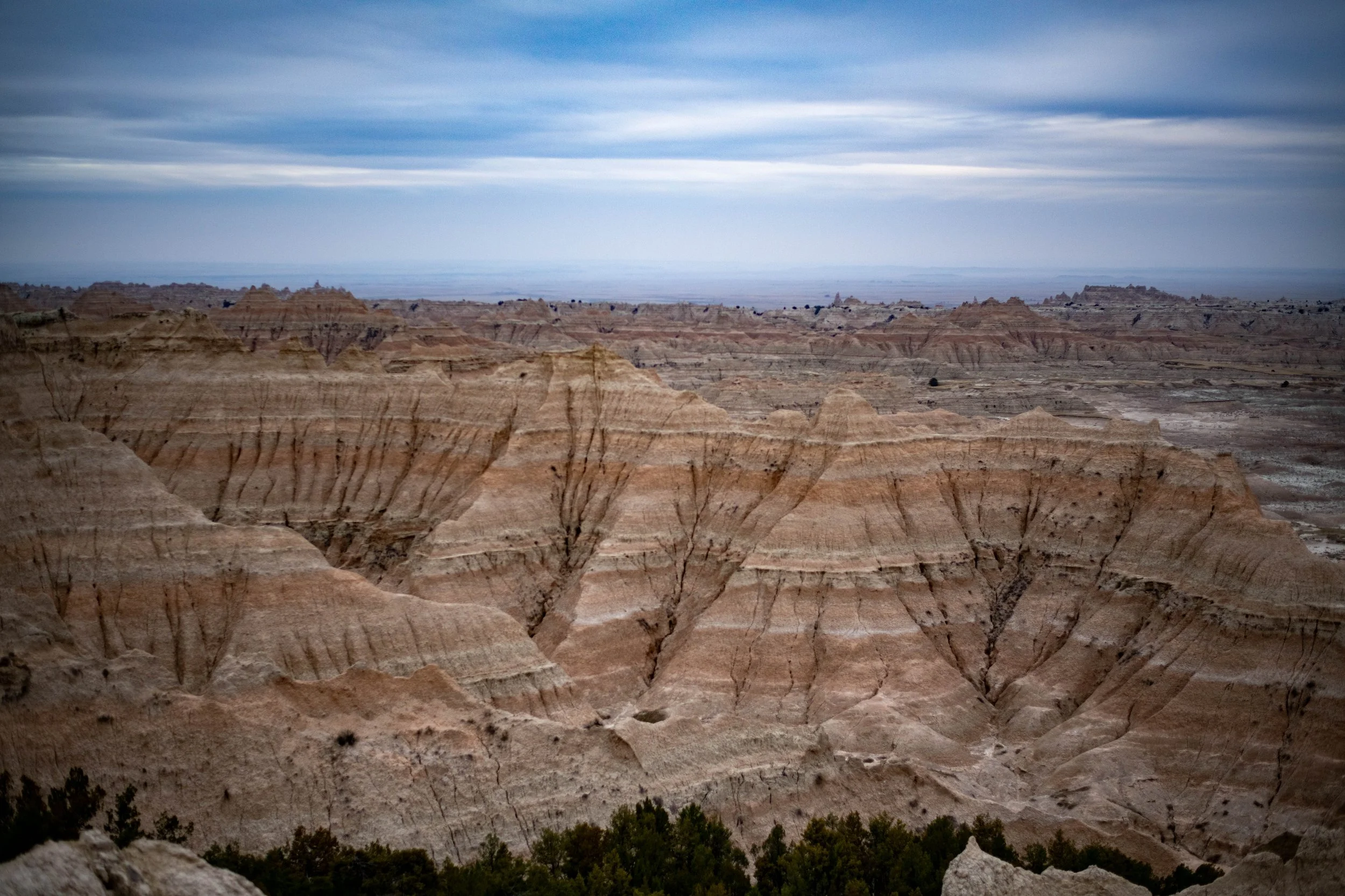 DSC_0242.jpg