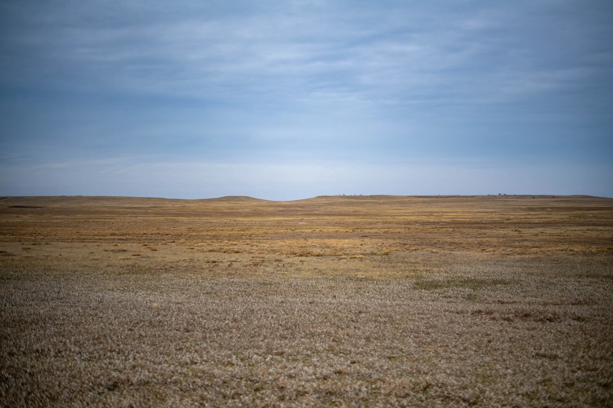 DSC_0177.jpg
