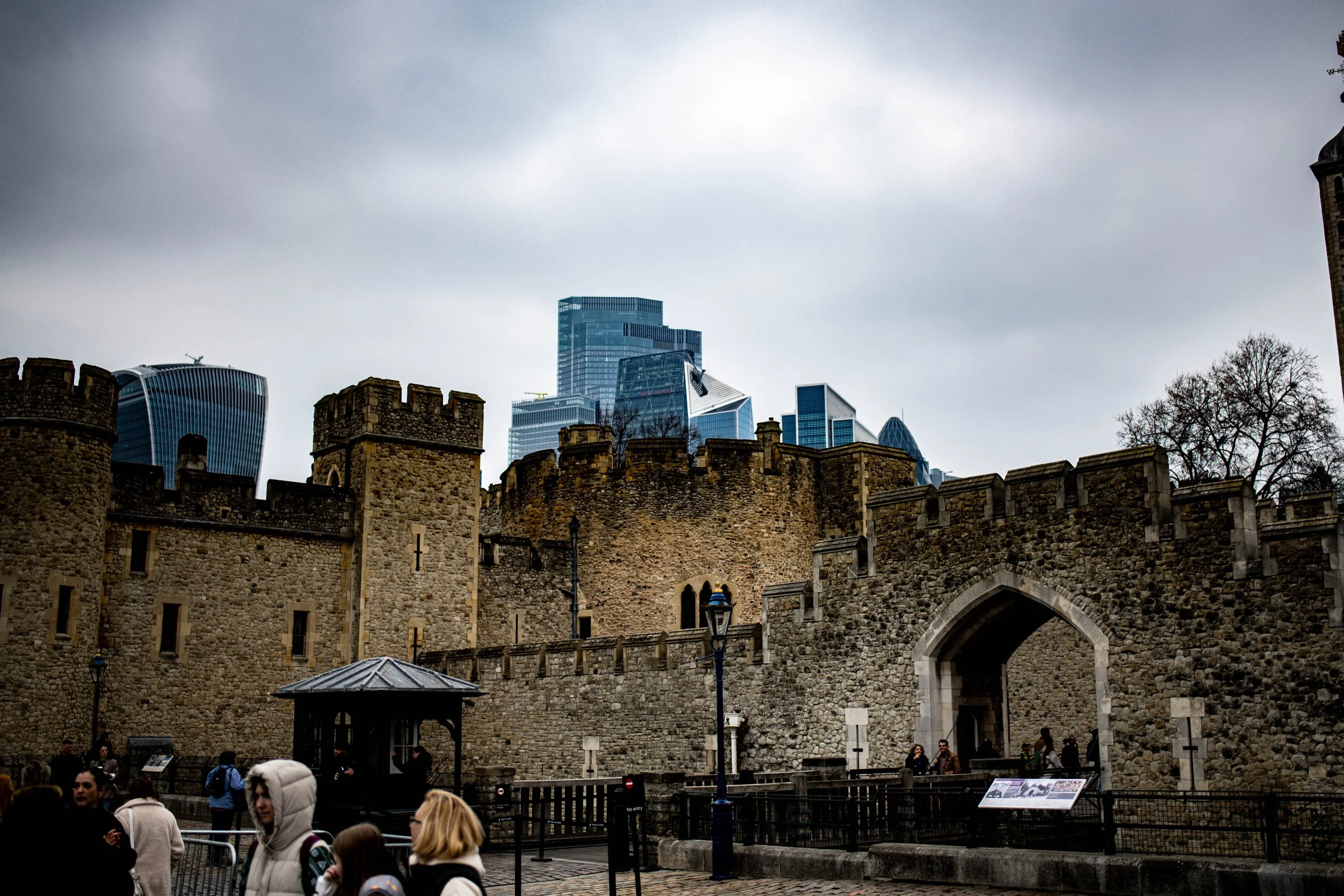 DSC_5624.jpg