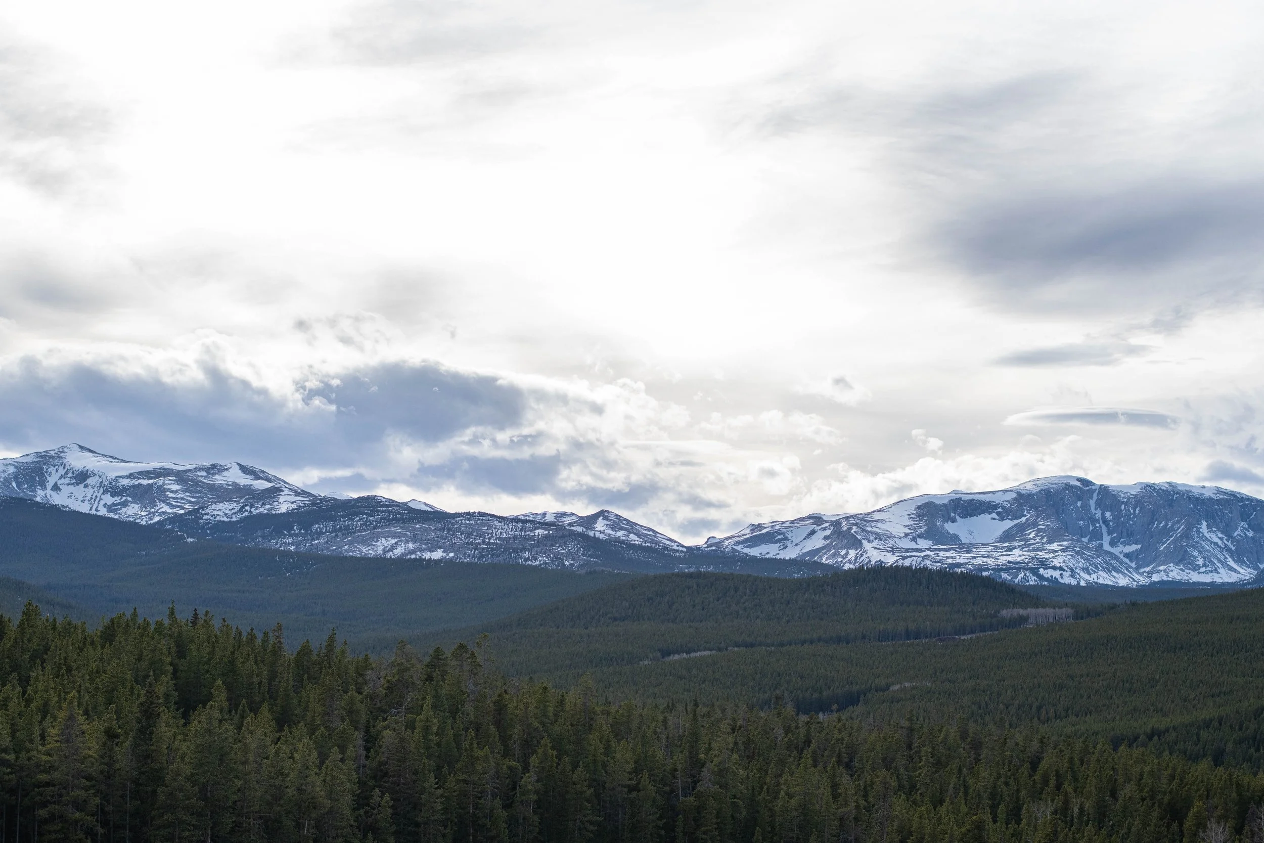 DSC_9971.jpg