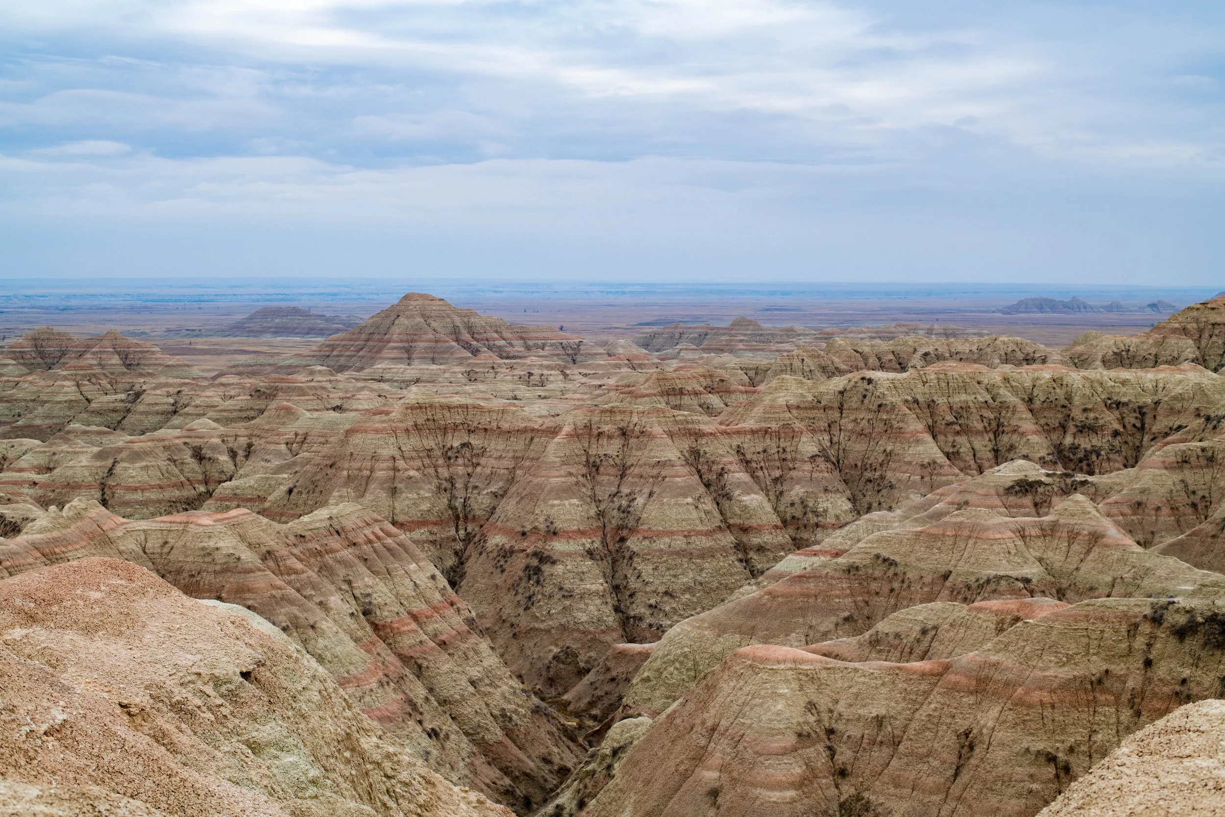 DSC_0158.jpg
