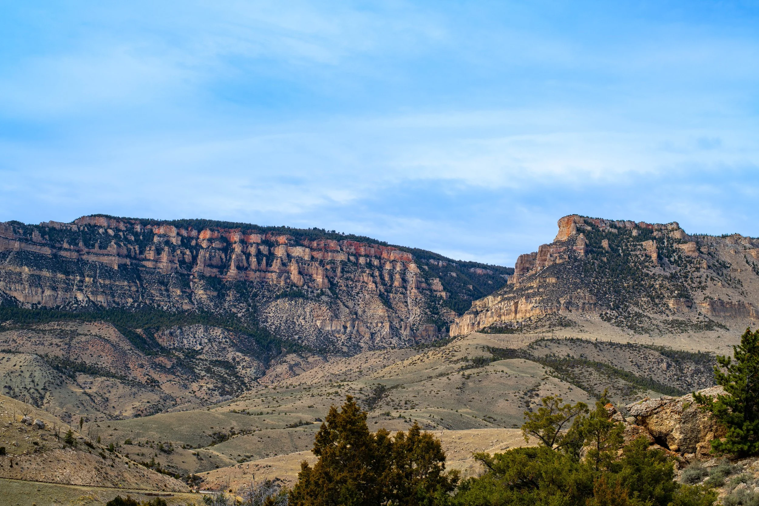 DSC_9897.jpg