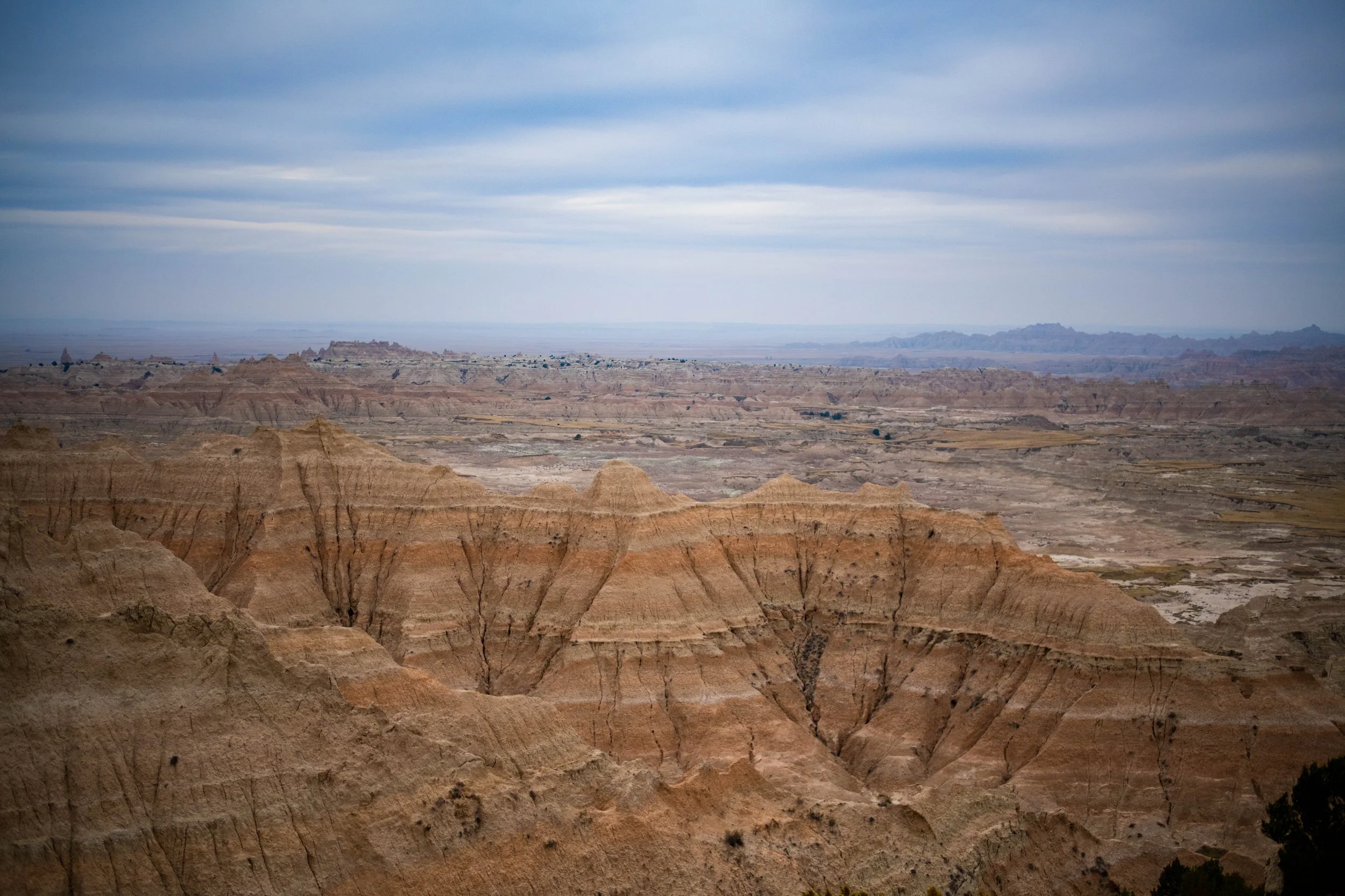 DSC_0237.jpg