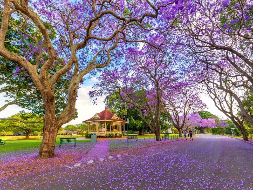 New Farm Park