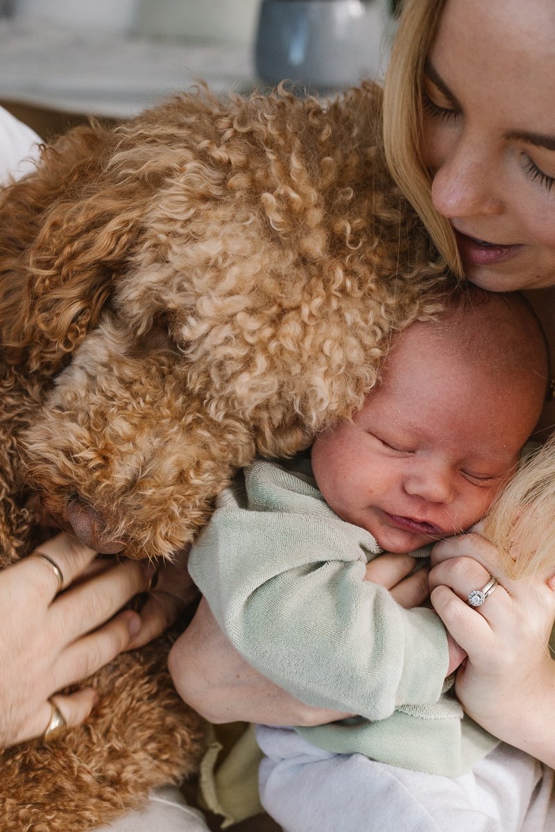 Brisbane newborn photoshoot