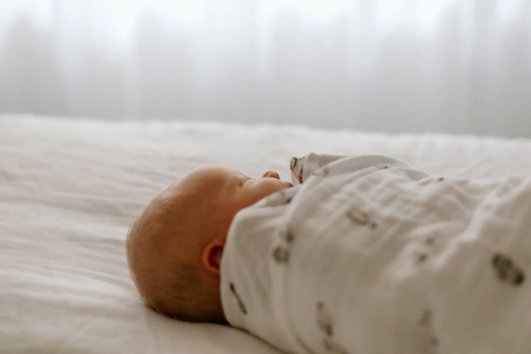 Brisbane newborn photo