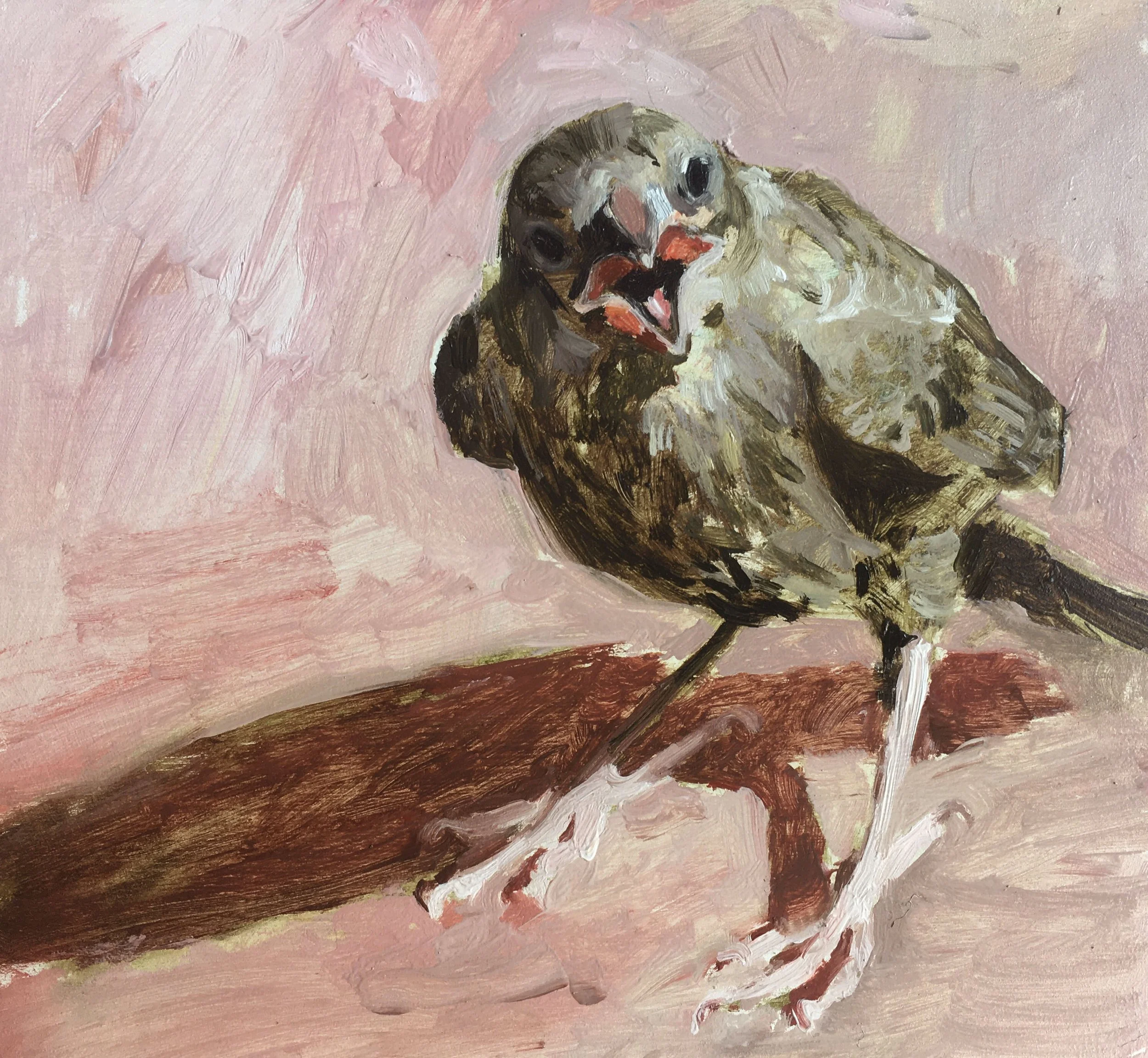 Locking Eyes With Oatmeat