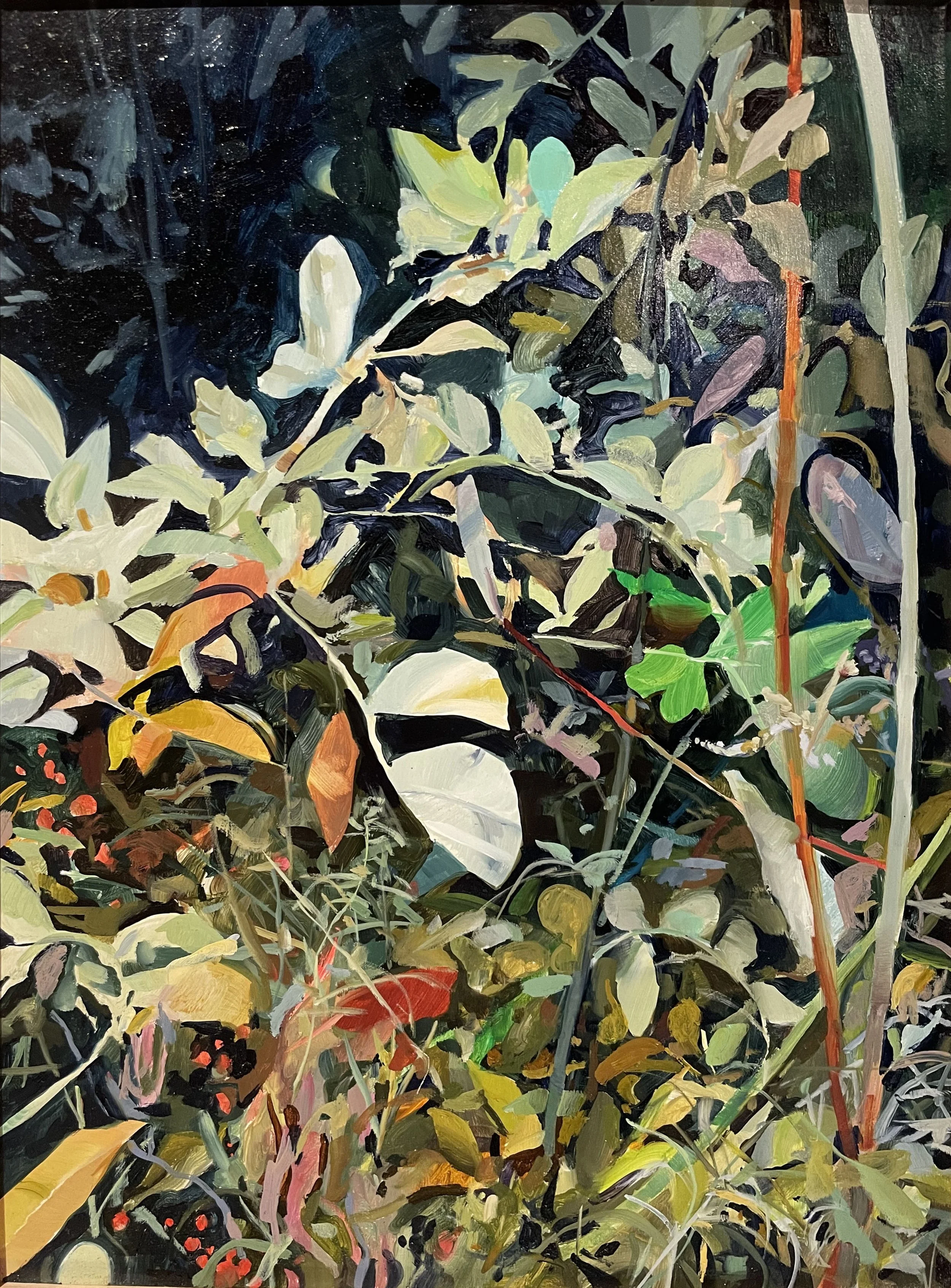 Rainbows Before it's Over