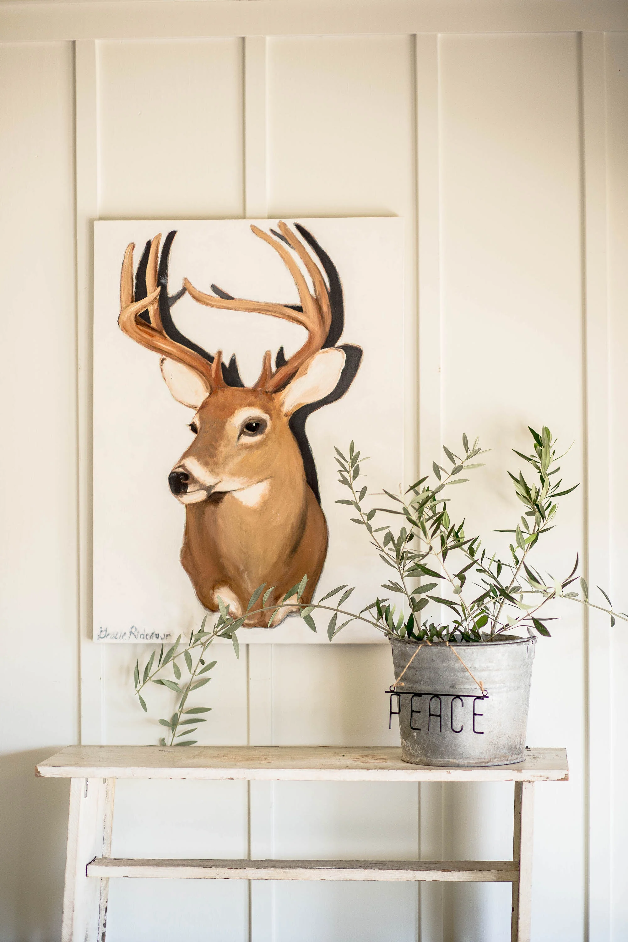 Stag : Animal Series