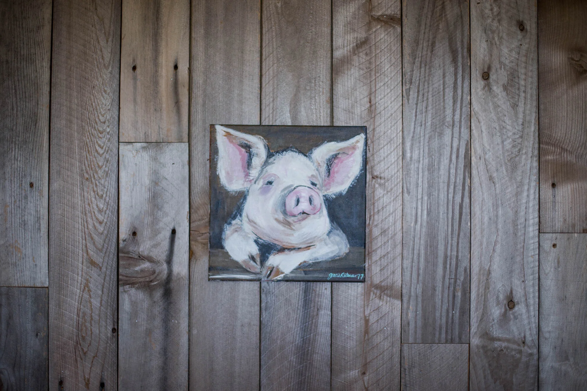 Piggy : Animal Series