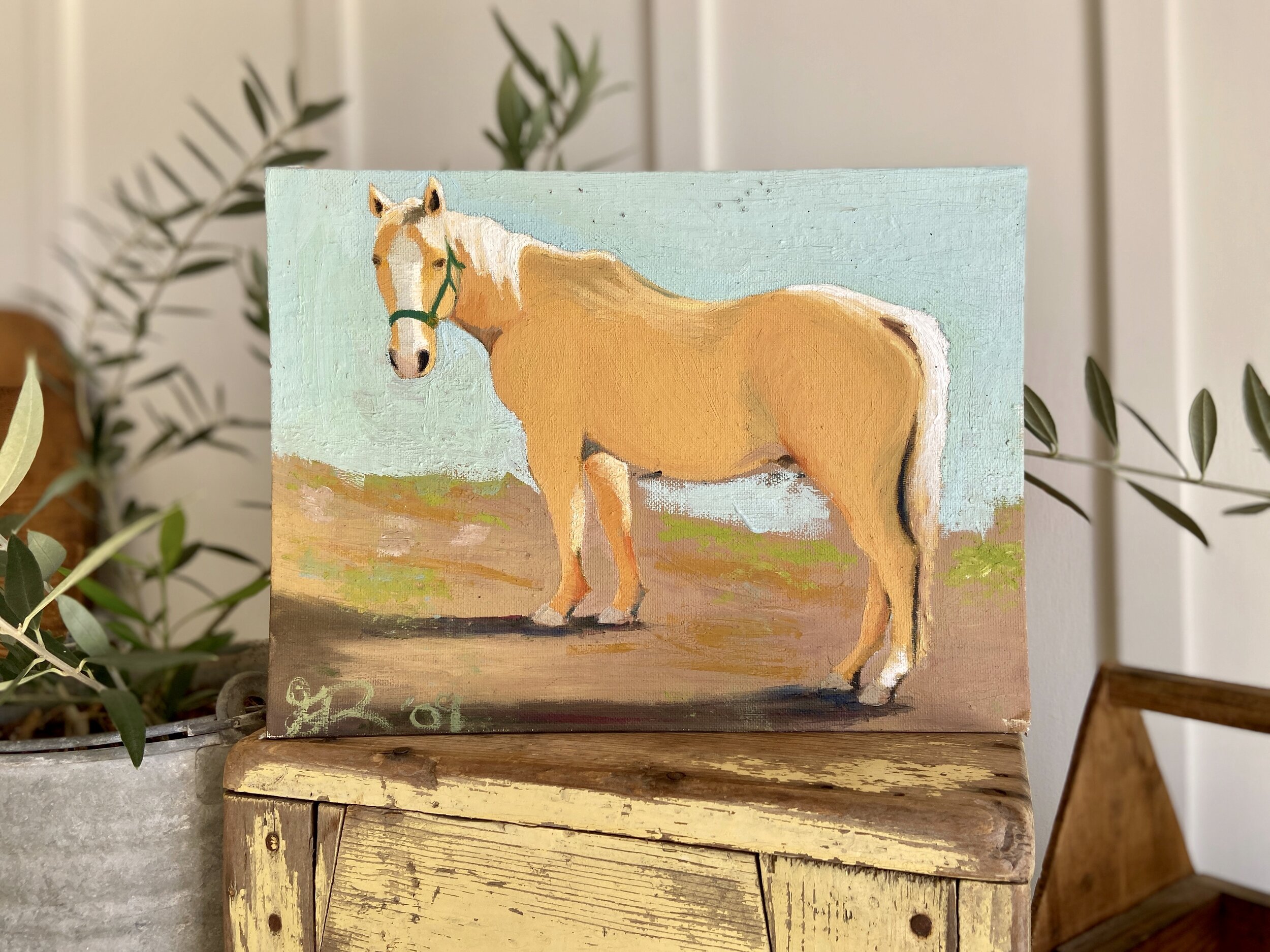 Shiloh : Animal Series