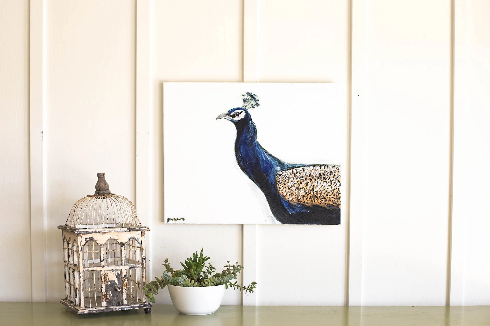 Peacock : Animal Series