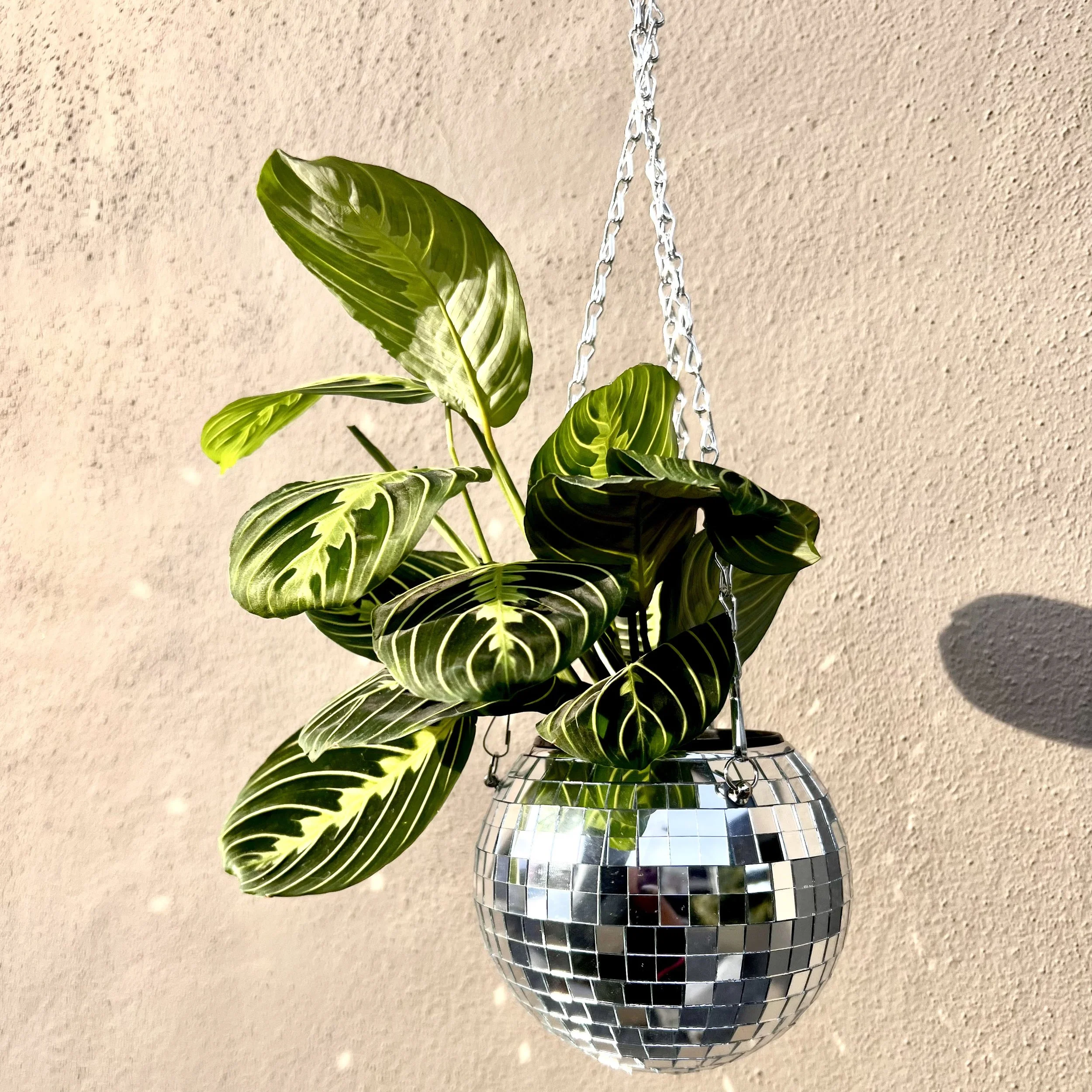Disco Ball Hanging Planter (6in) — Seed Atlanta