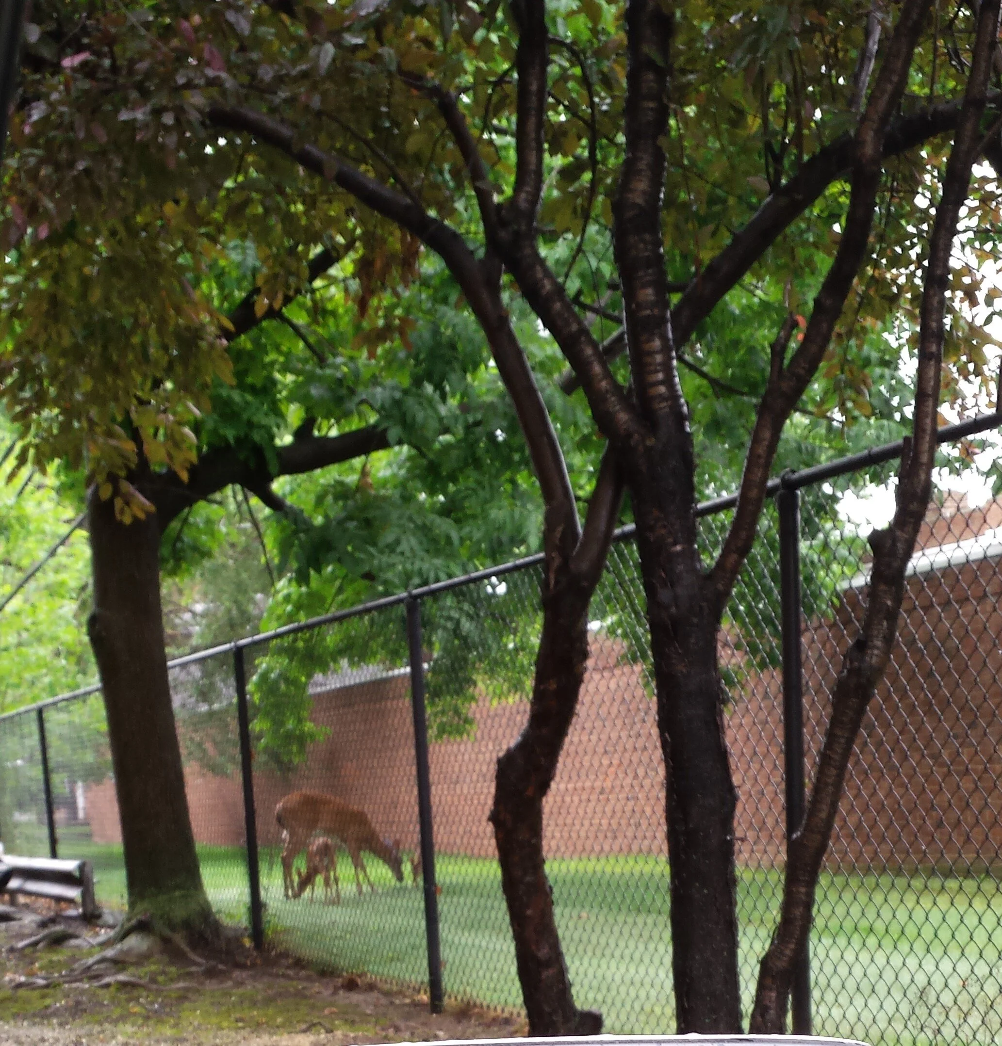 Image By Erin L. Hopkins