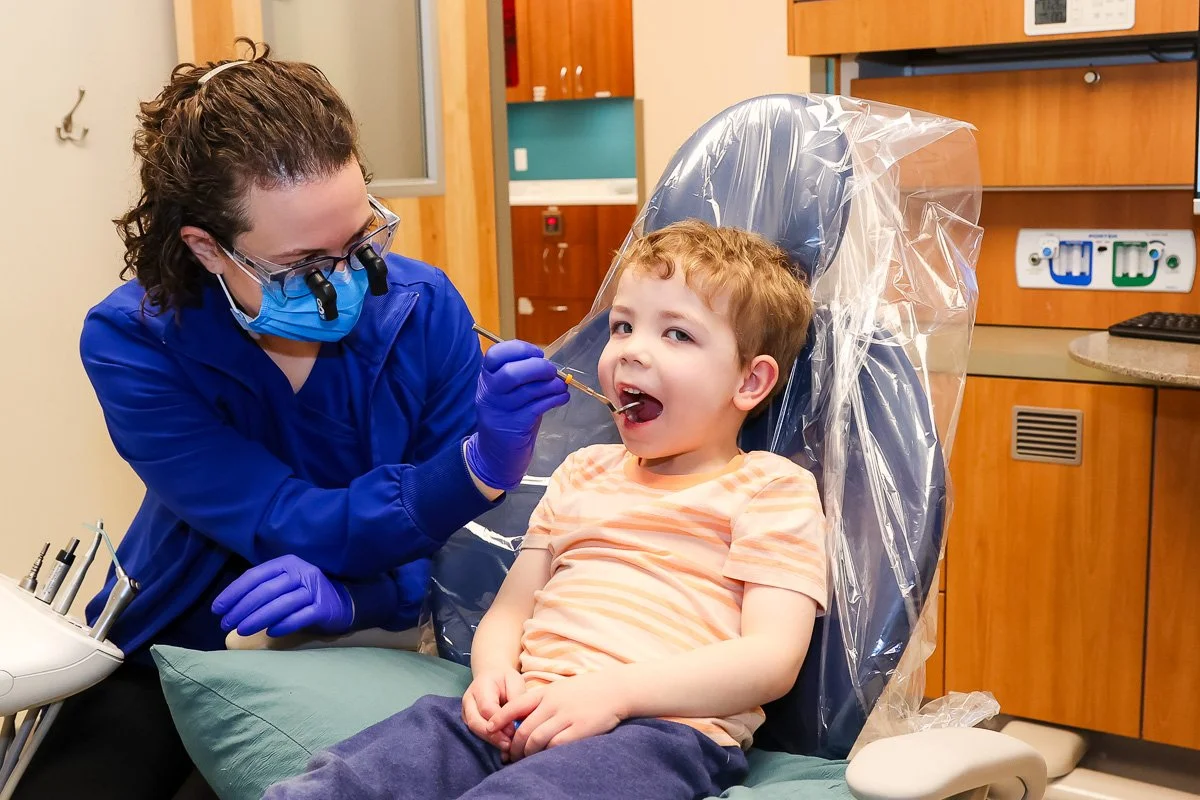 Polar Bear Dental Care