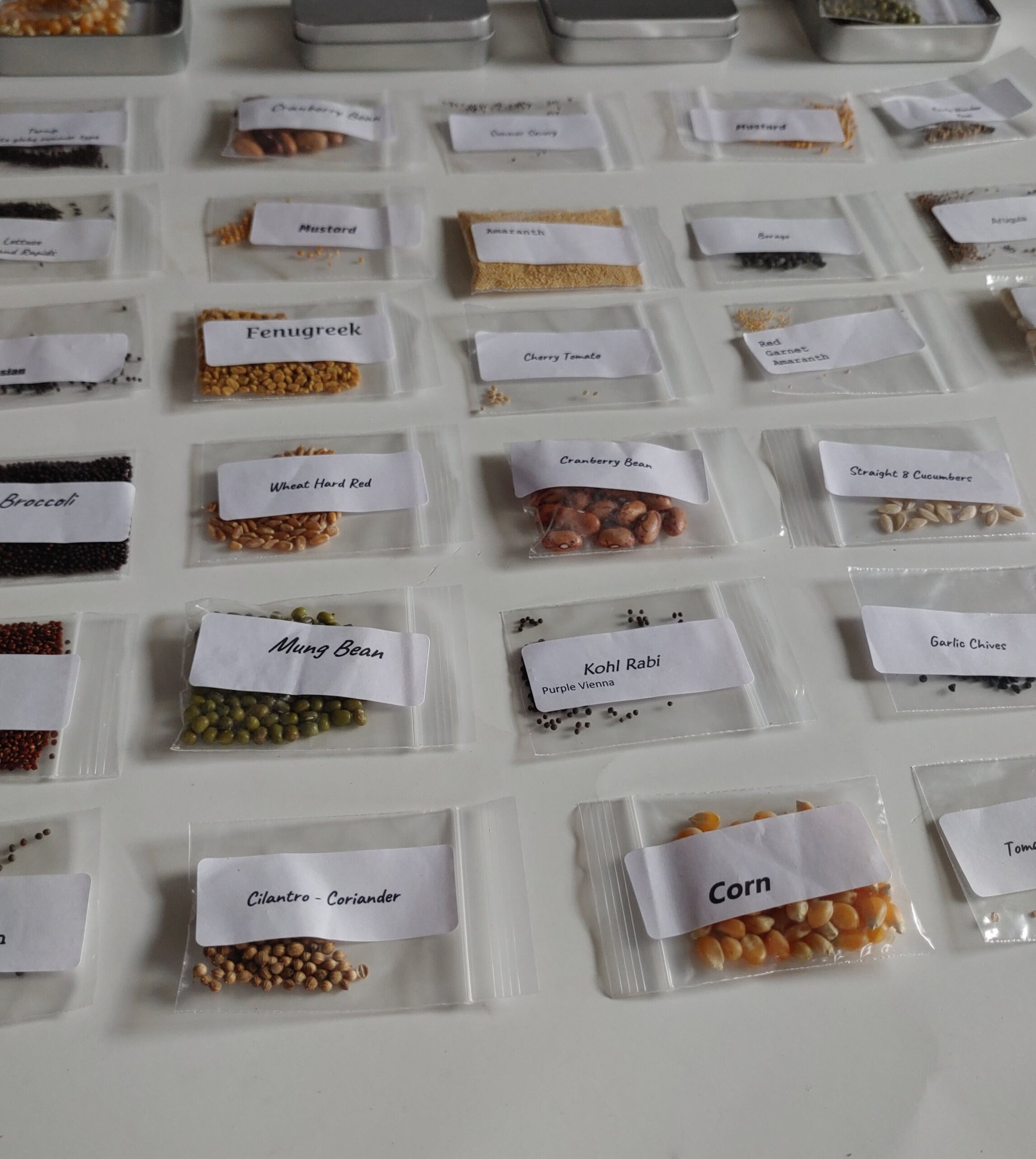 How to Store Seeds - SeedSavers