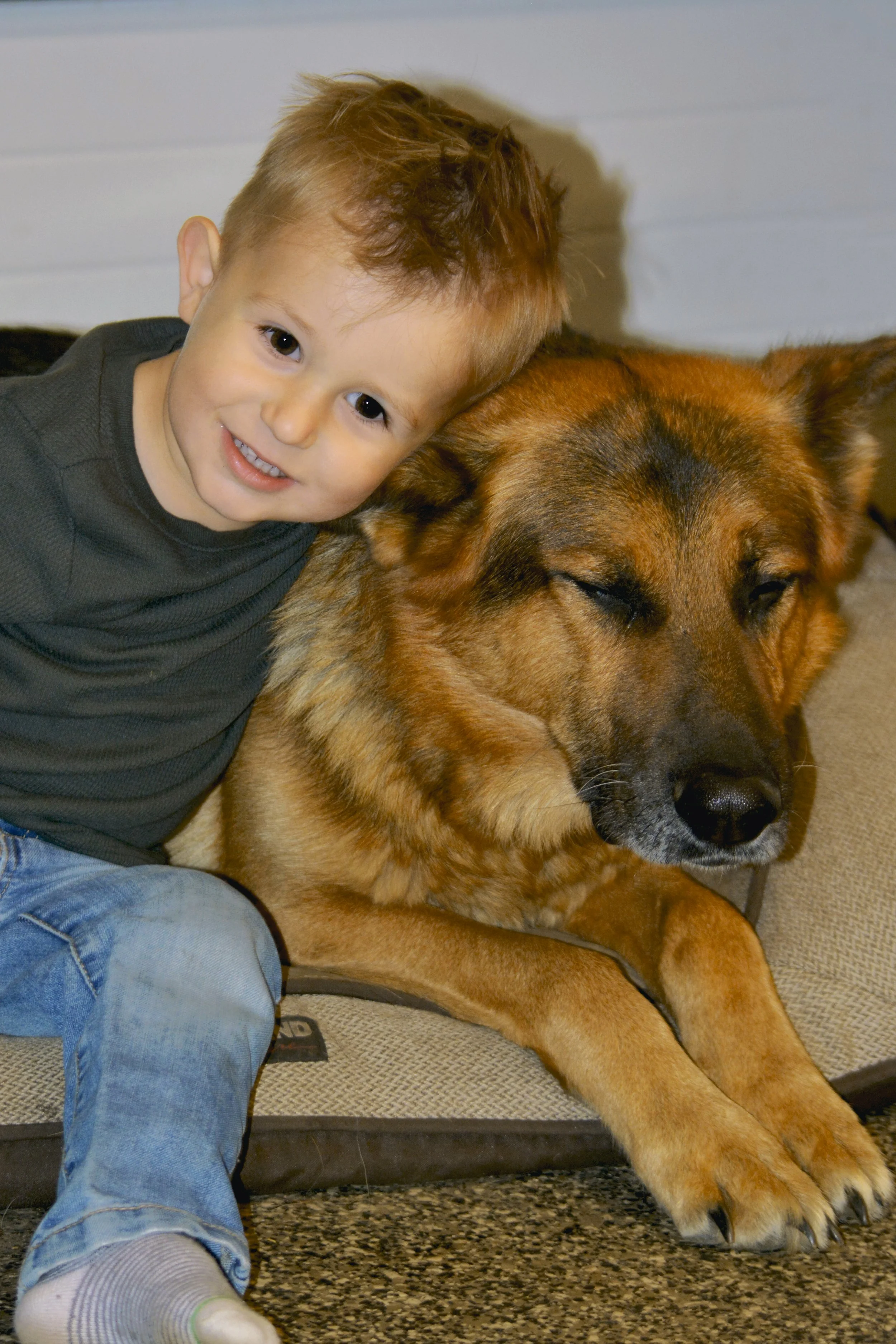 Young boy with brown hair smiling and leaning his head on a large, brown, black, and tan dog with closed eyes, lying on a dog bed.
