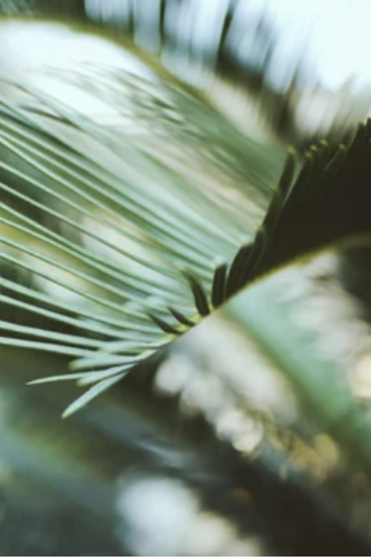 Screenshot 2026-03-09 at 4.38.59 PM.png