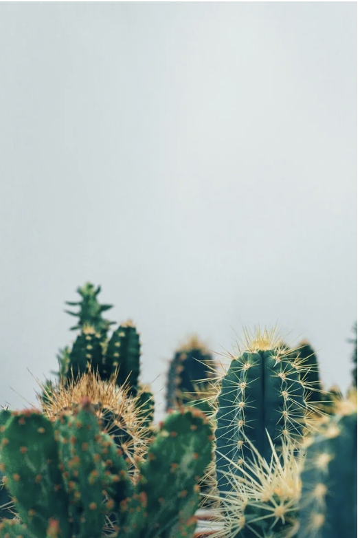 Screenshot 2026-03-09 at 4.39.31 PM.png