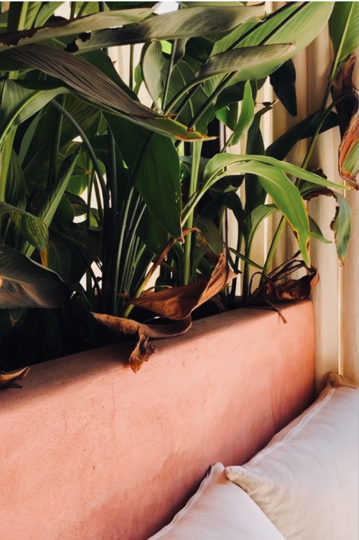 Screenshot 2026-03-09 at 4.42.47 PM.png