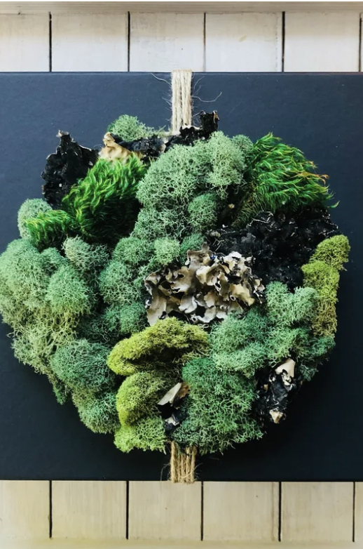 Screenshot 2026-03-09 at 4.44.23 PM.png